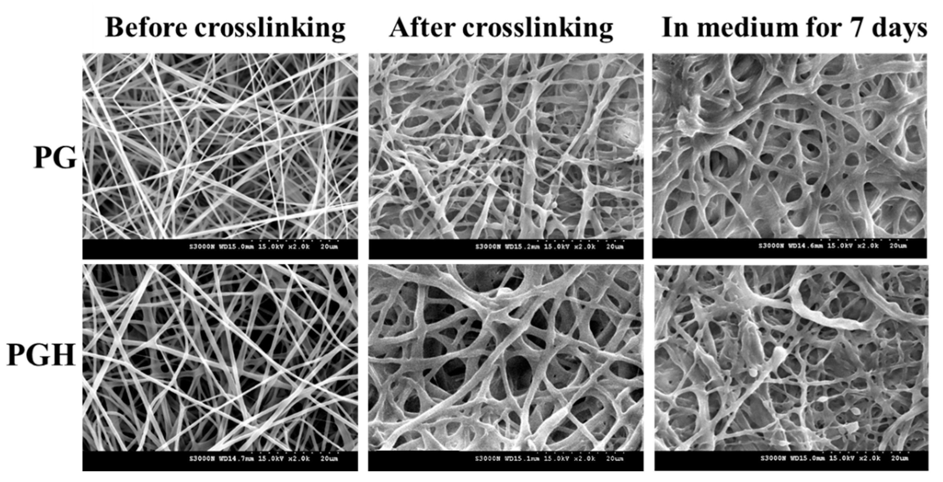 Biomedicines 10 02902 g001 Biomedicines 10 02902 g001