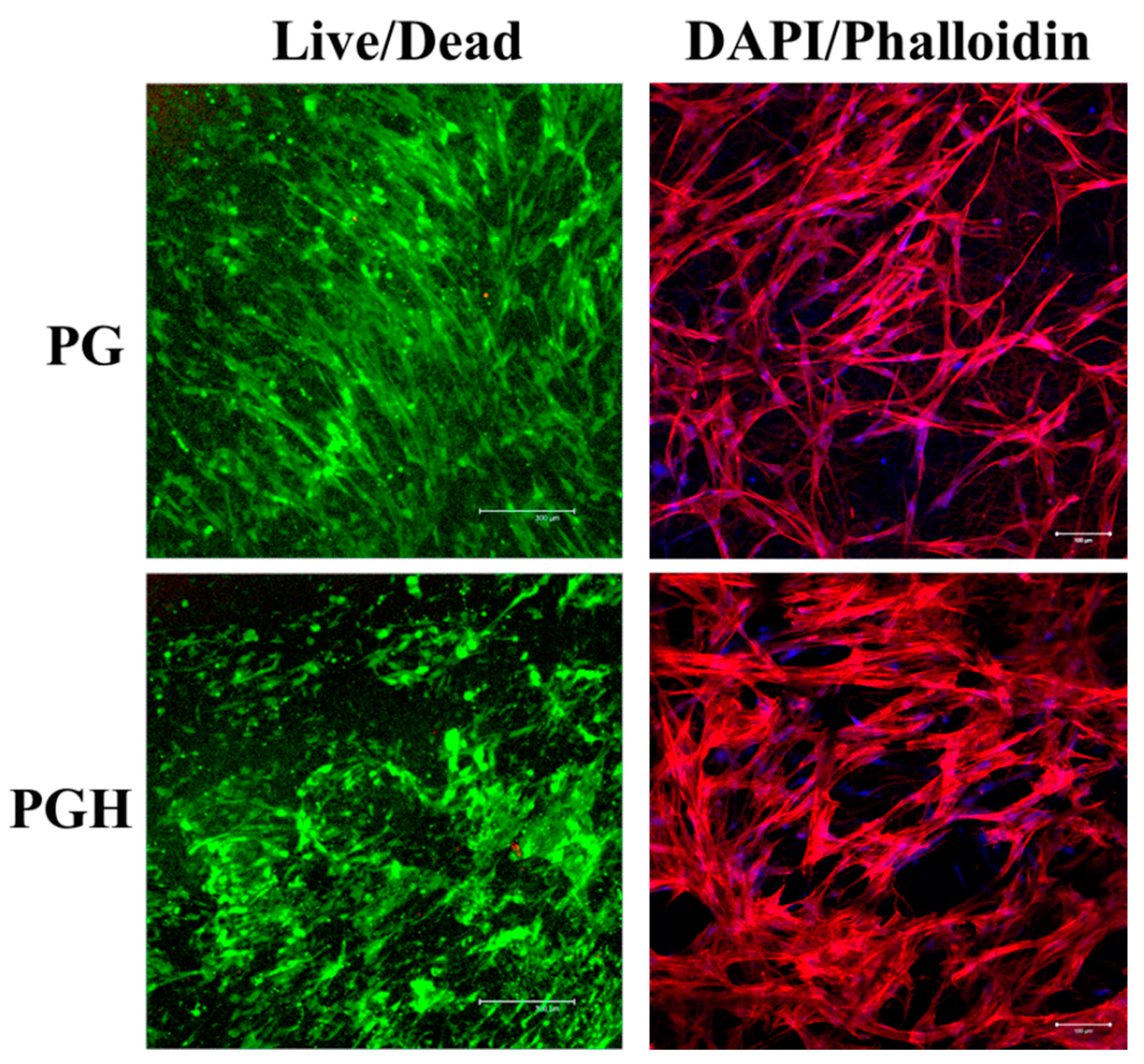 Biomedicines 10 02902 g005 Biomedicines 10 02902 g005