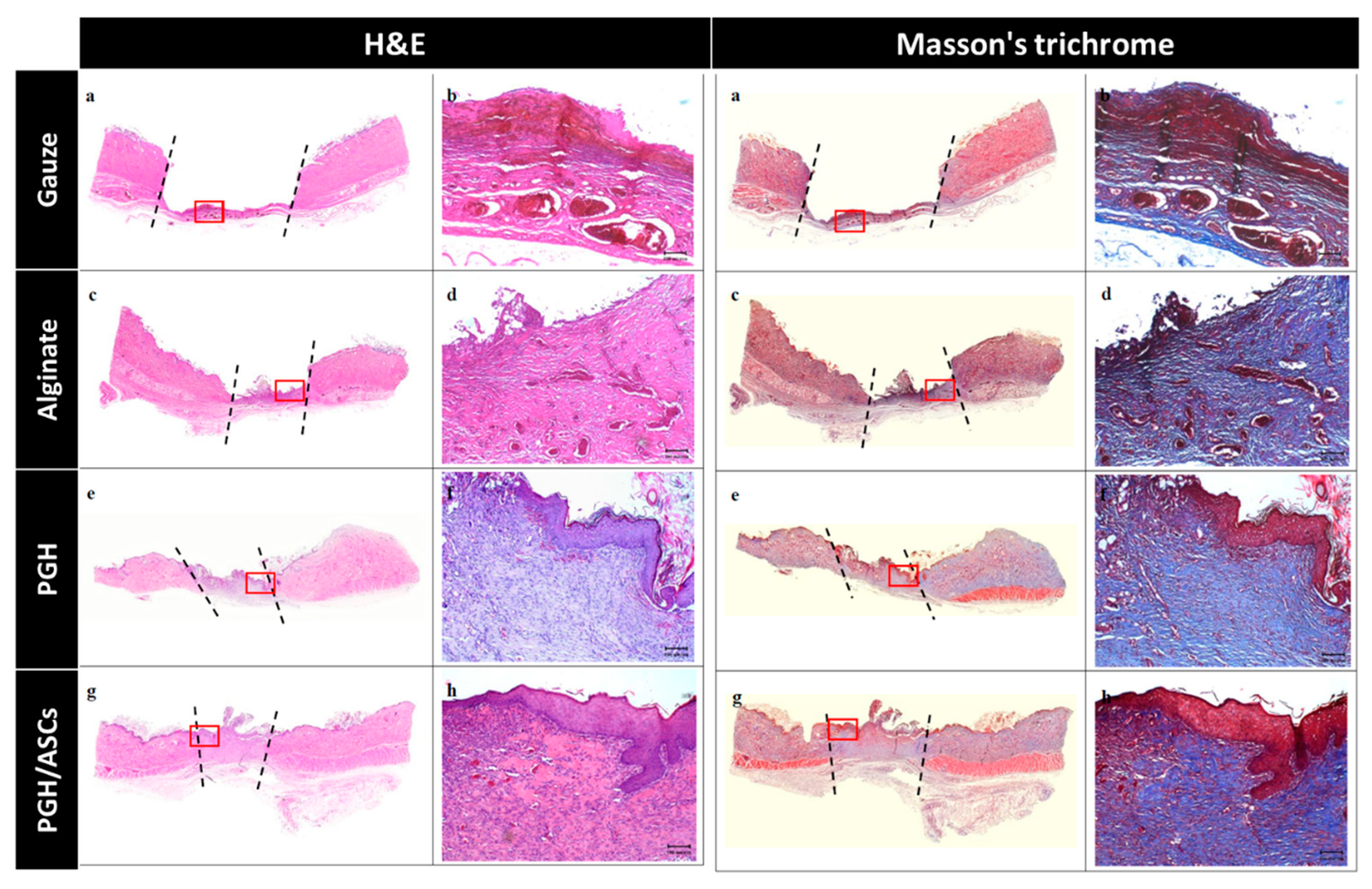 Biomedicines 10 02902 g008 Biomedicines 10 02902 g008