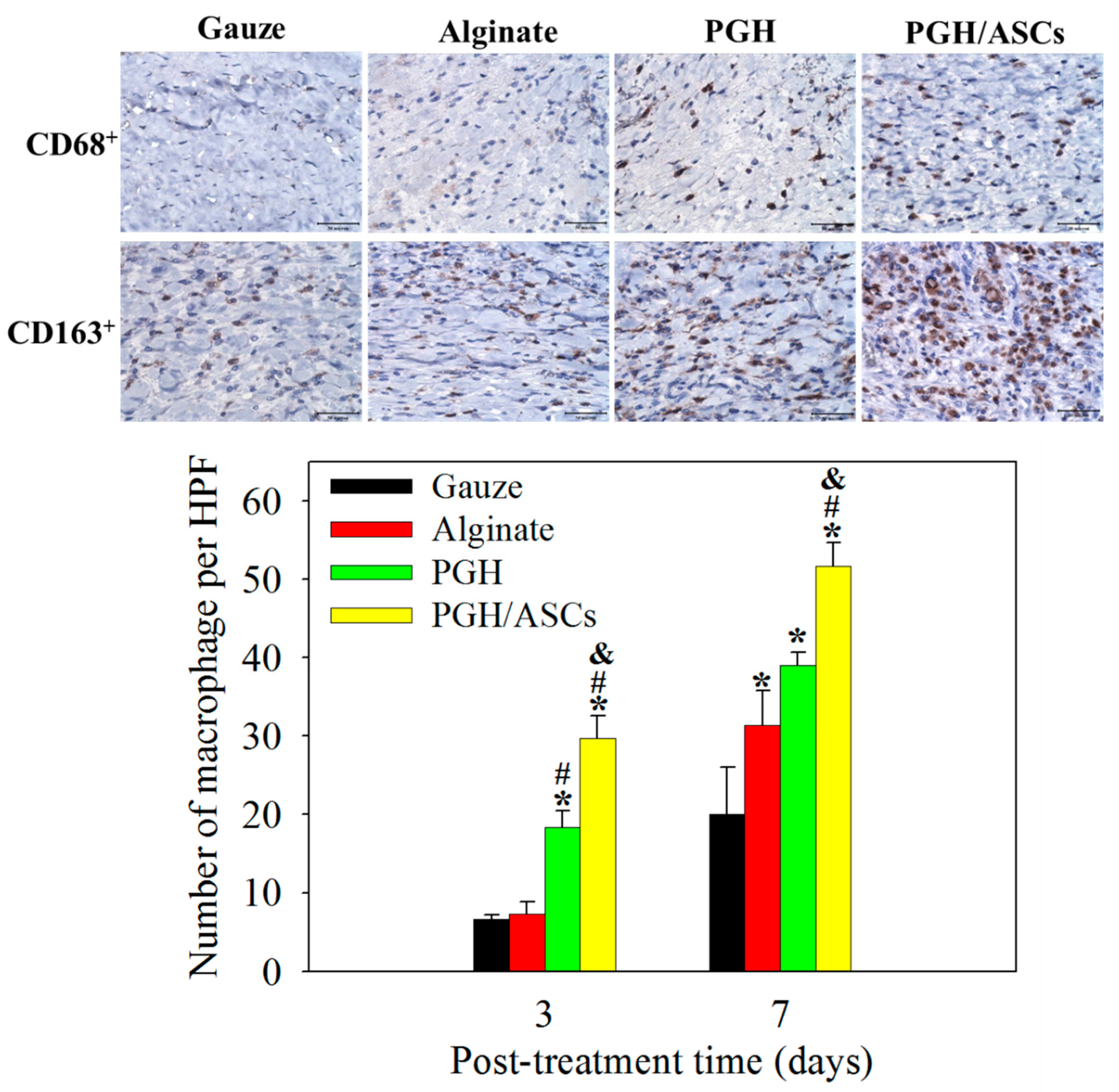 Biomedicines 10 02902 g009 Biomedicines 10 02902 g009