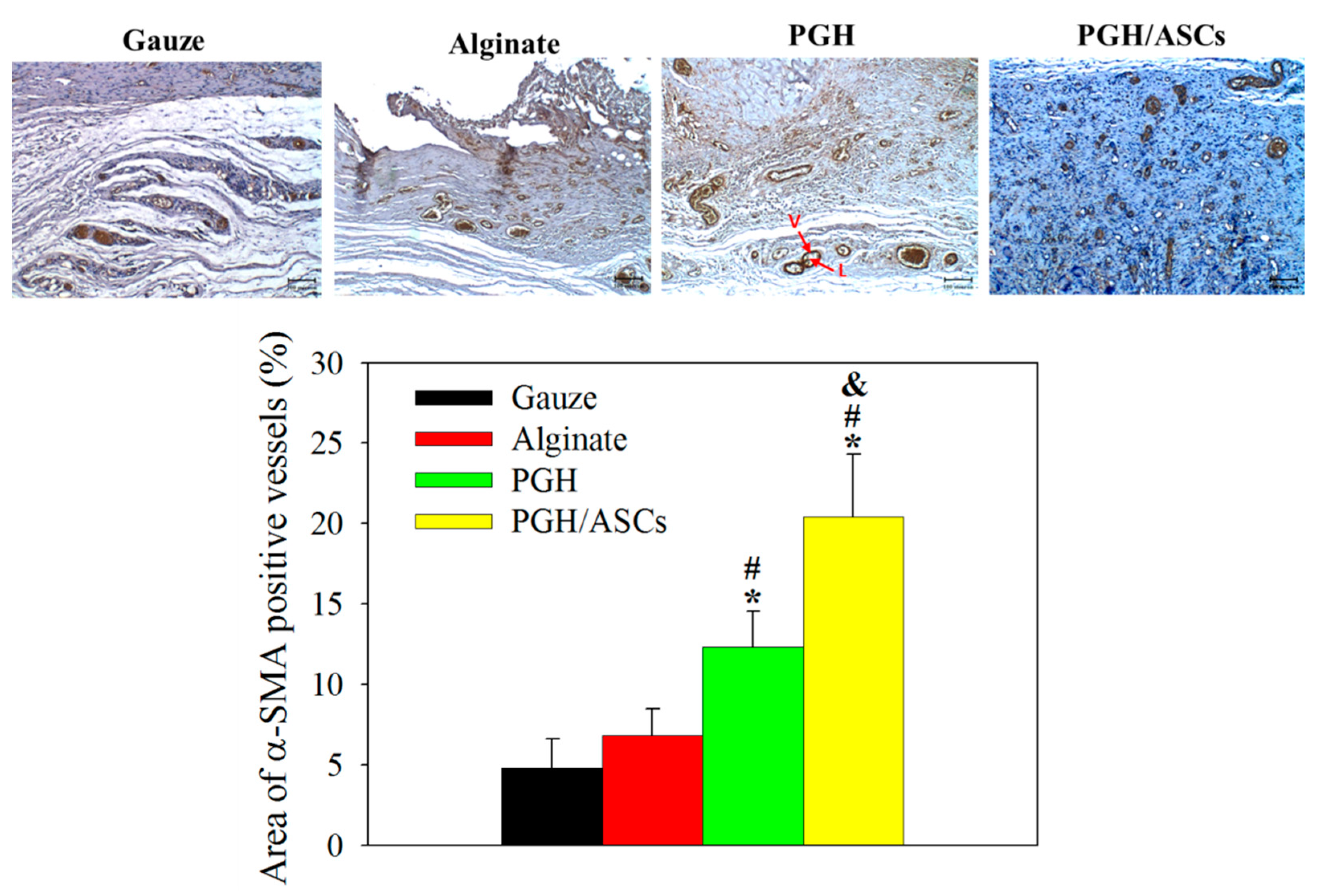 Biomedicines 10 02902 g010 Biomedicines 10 02902 g010
