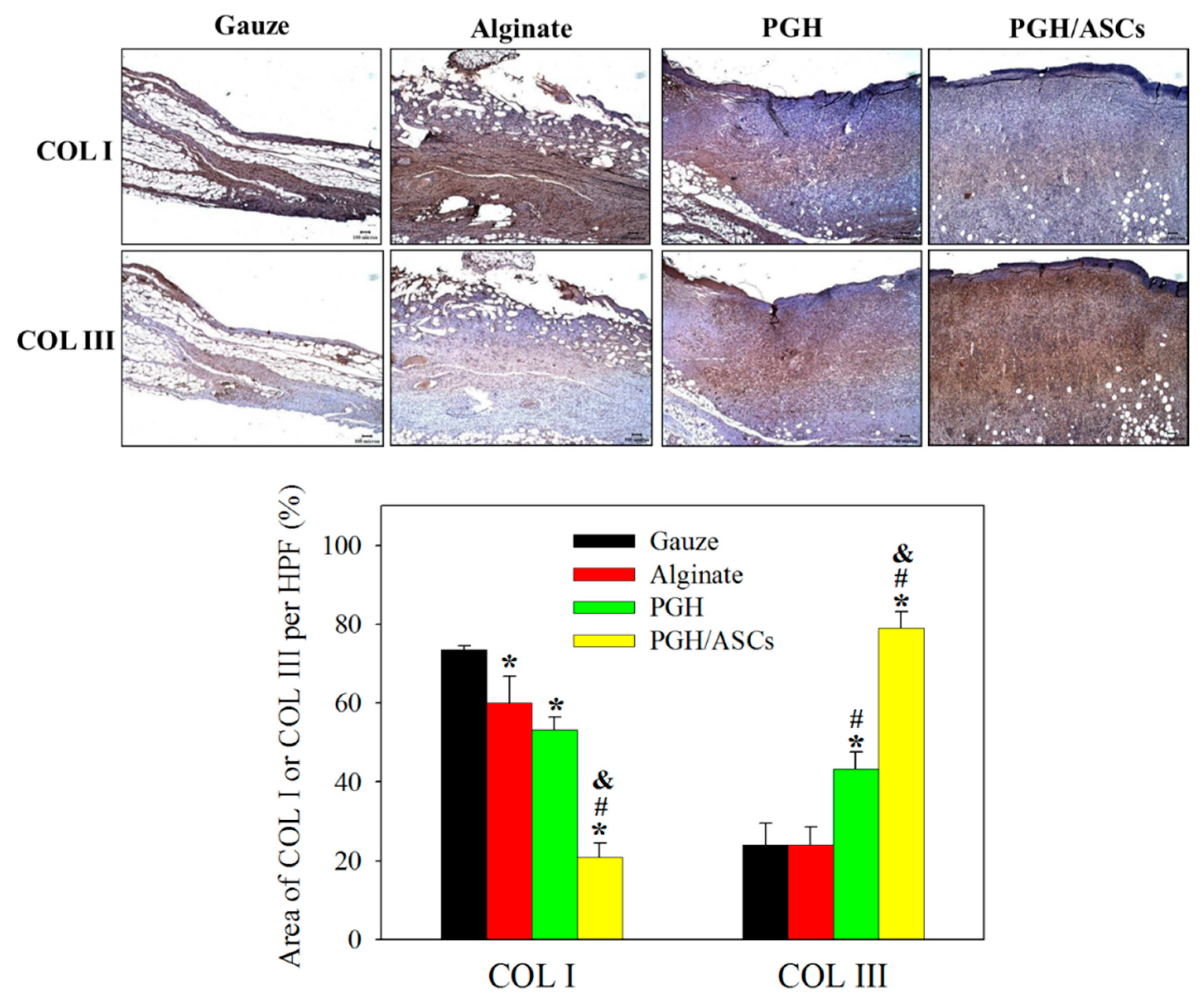 Biomedicines 10 02902 g011 Biomedicines 10 02902 g011