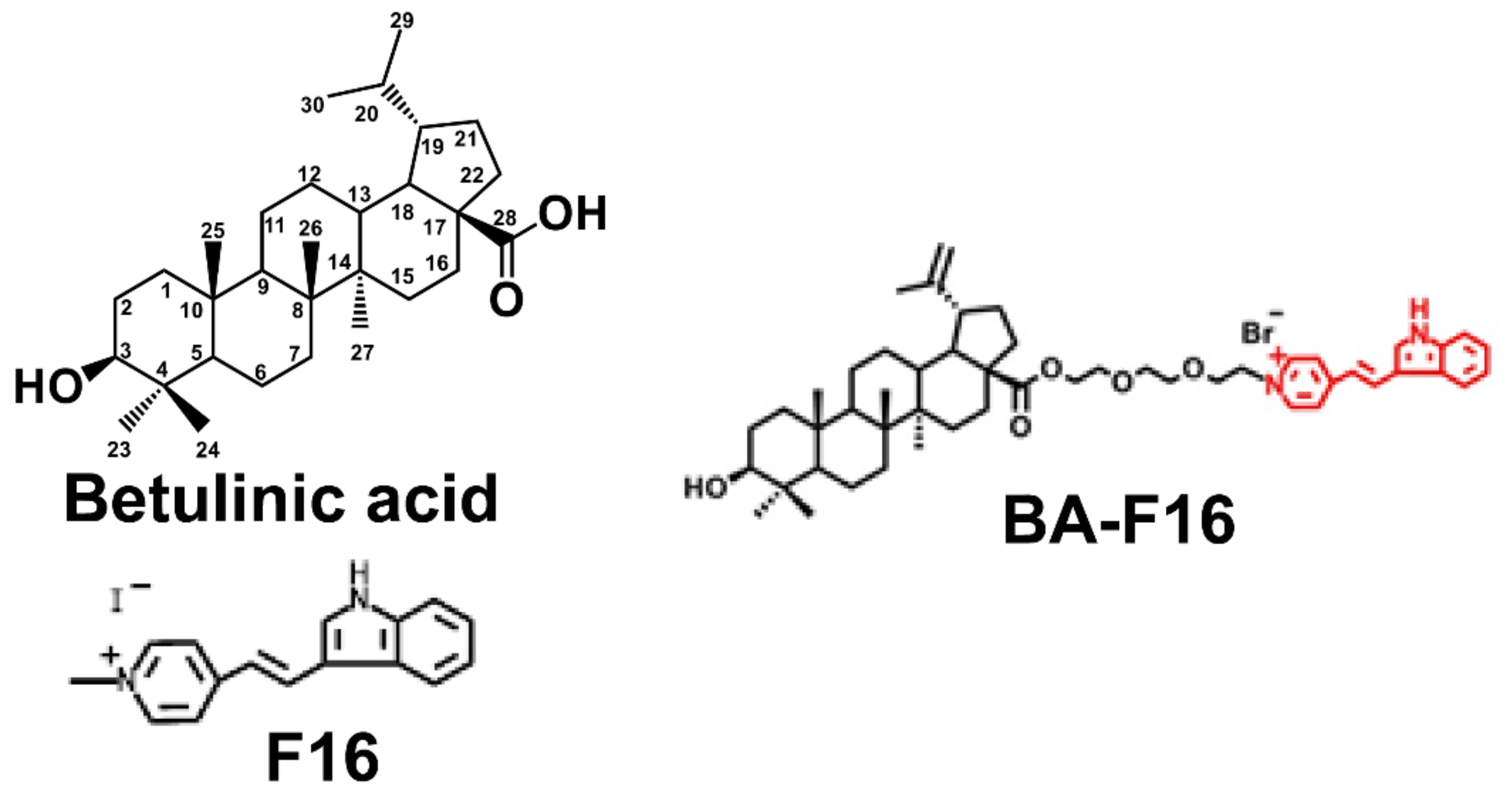 Biomedicines 10 02903 g001 Biomedicines 10 02903 g001