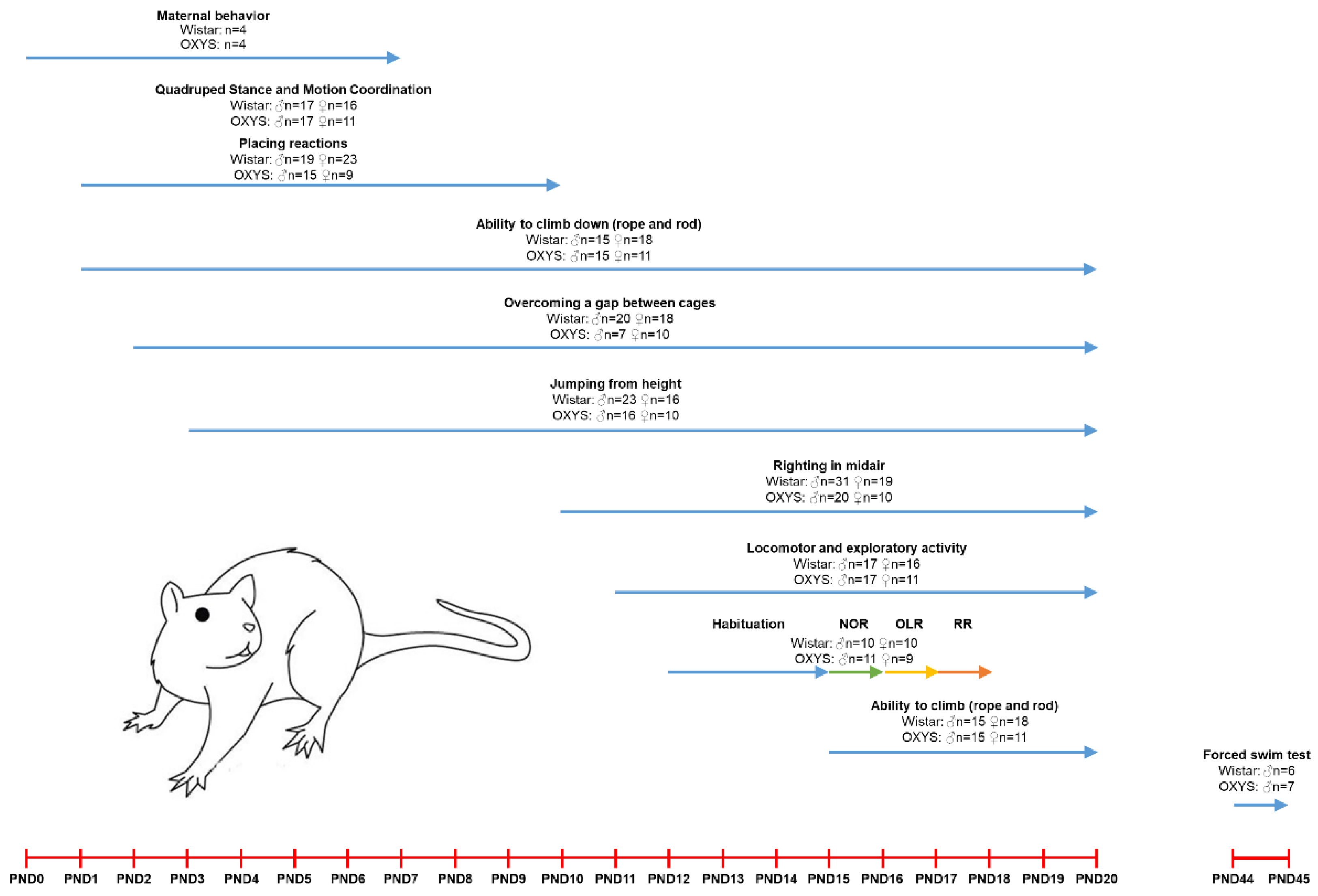 Biomedicines 10 02910 g001 Biomedicines 10 02910 g001
