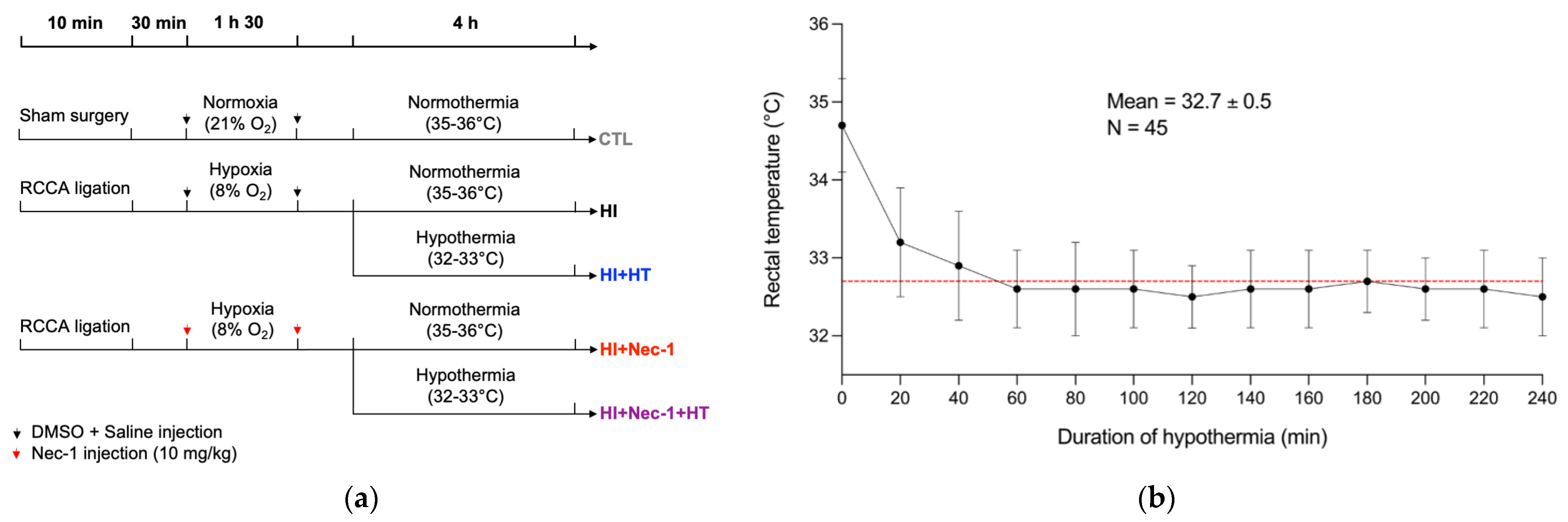 Biomedicines 10 02913 g001
