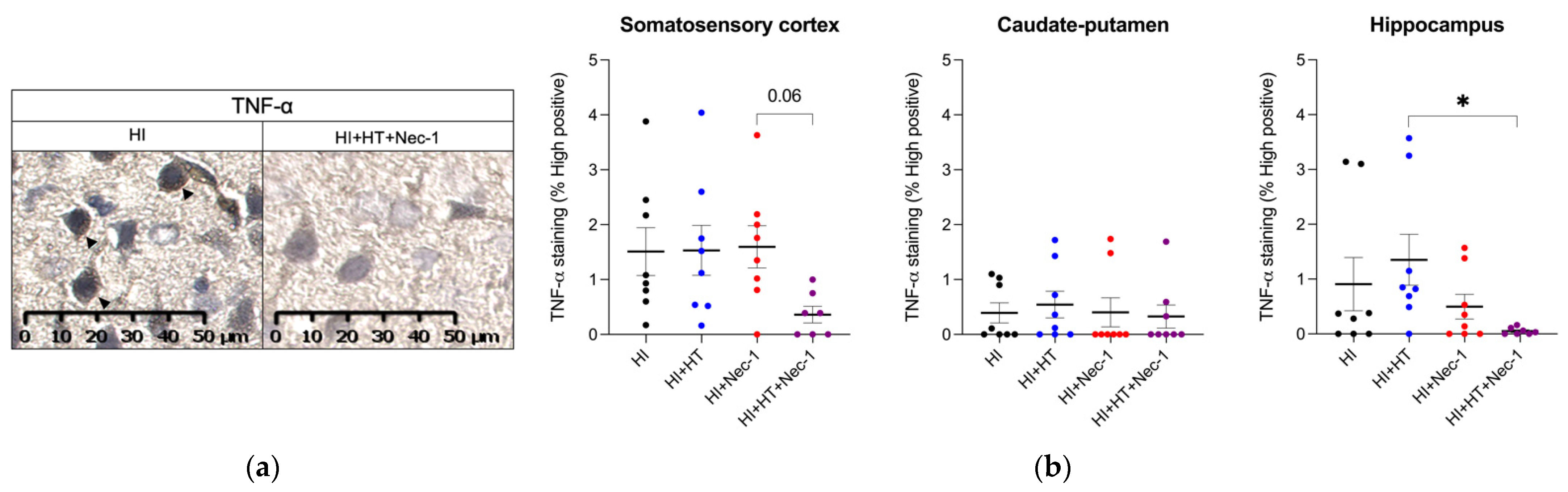 Biomedicines 10 02913 g002