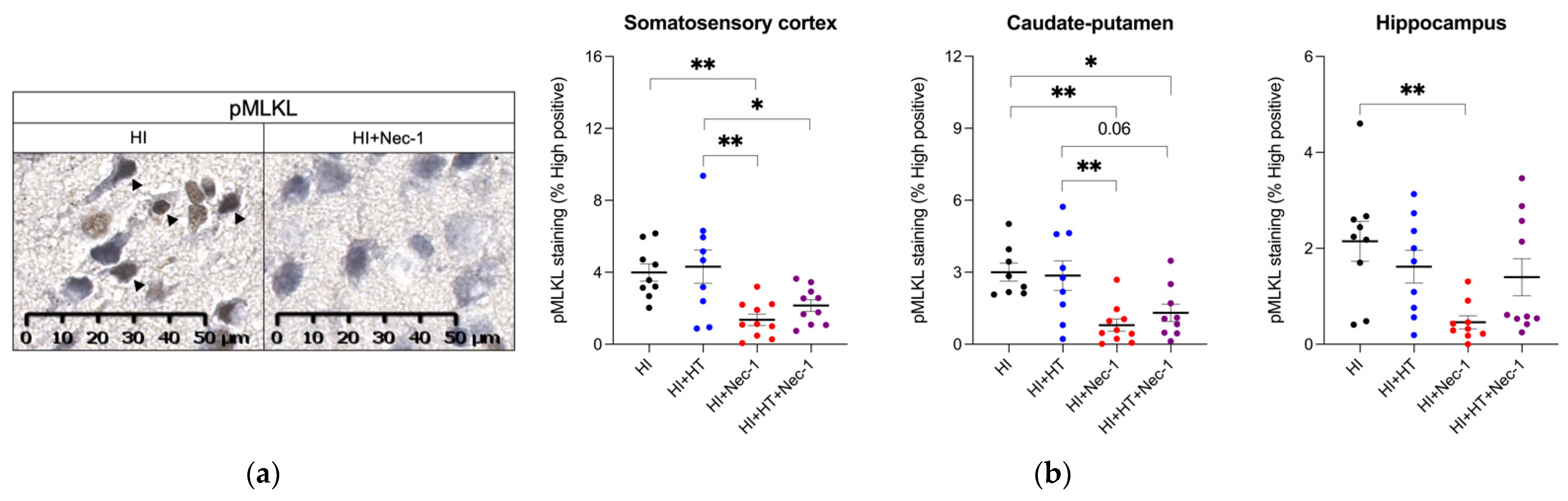 Biomedicines 10 02913 g003