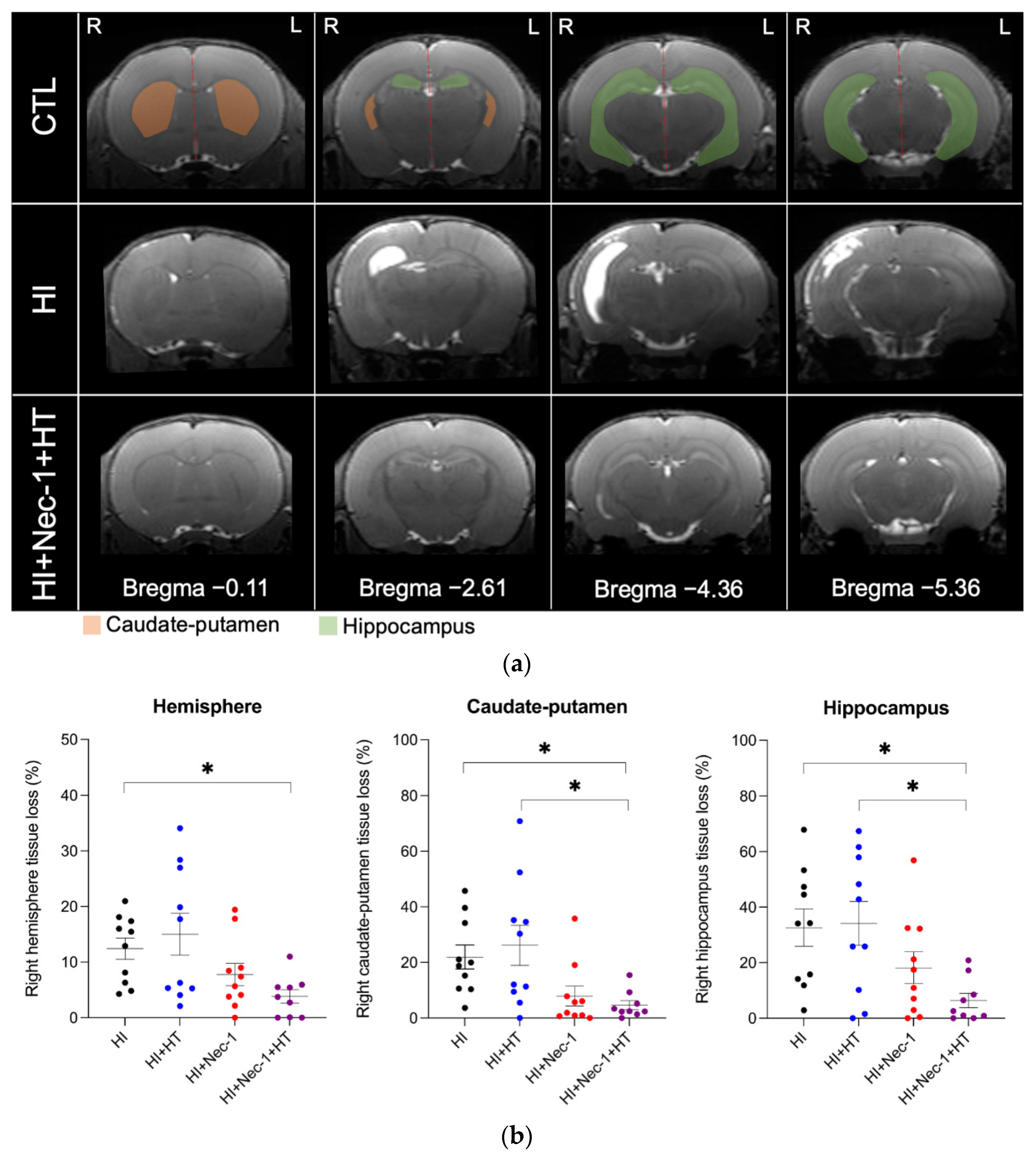 Biomedicines 10 02913 g004