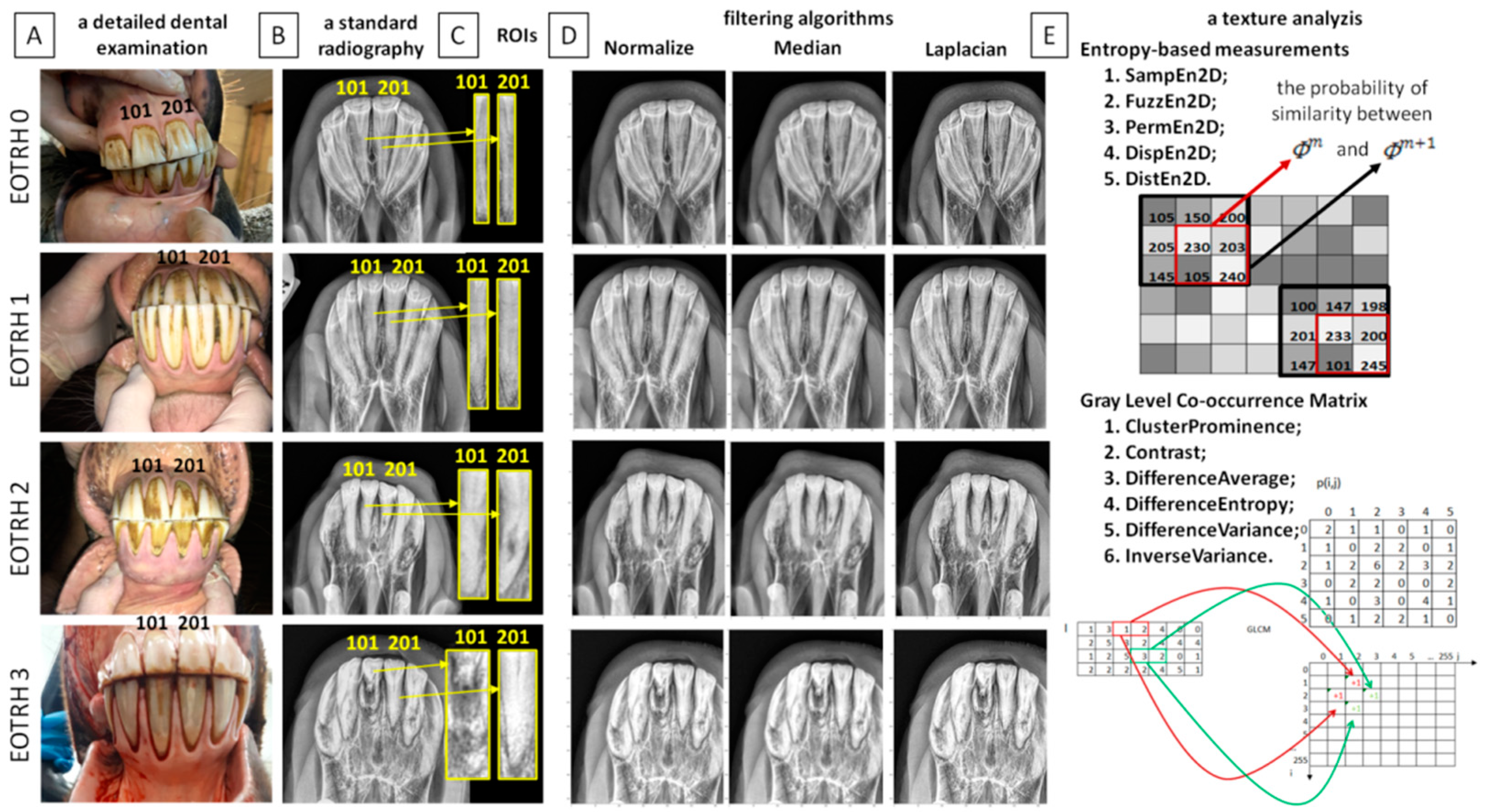 Biomedicines 10 02914 g001 Biomedicines 10 02914 g001