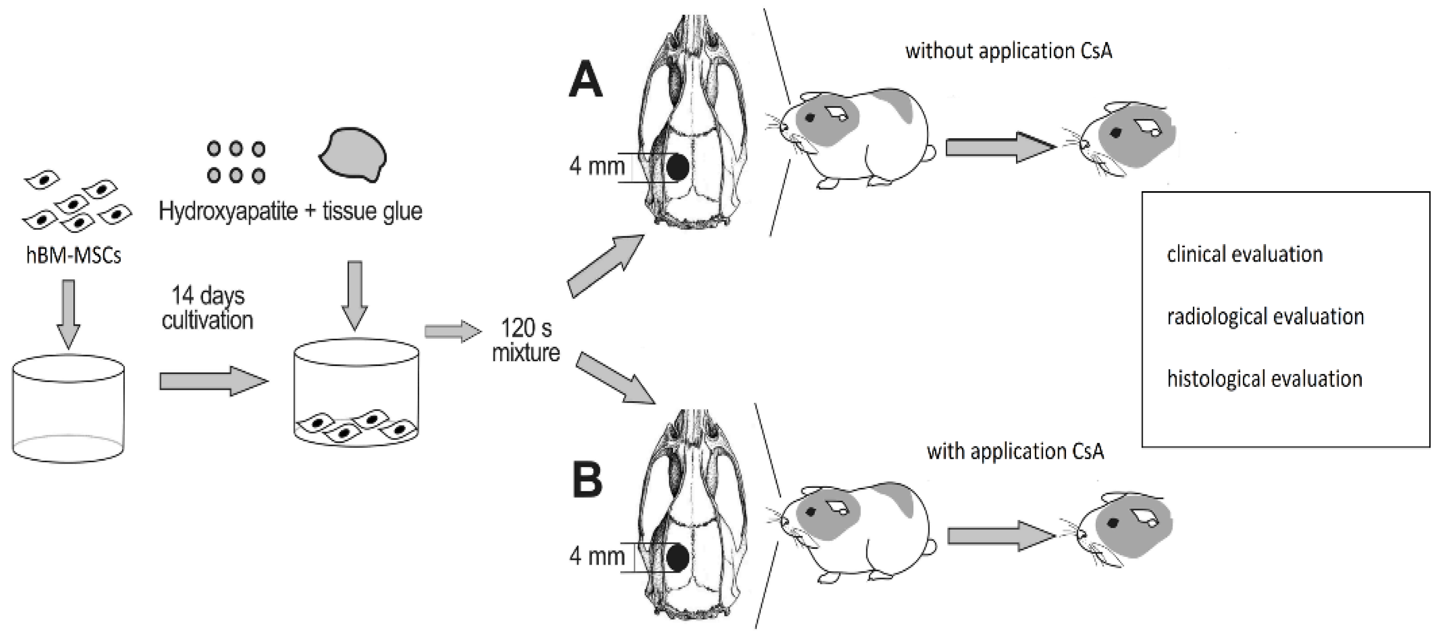 Biomedicines 10 02918 g001 Biomedicines 10 02918 g001