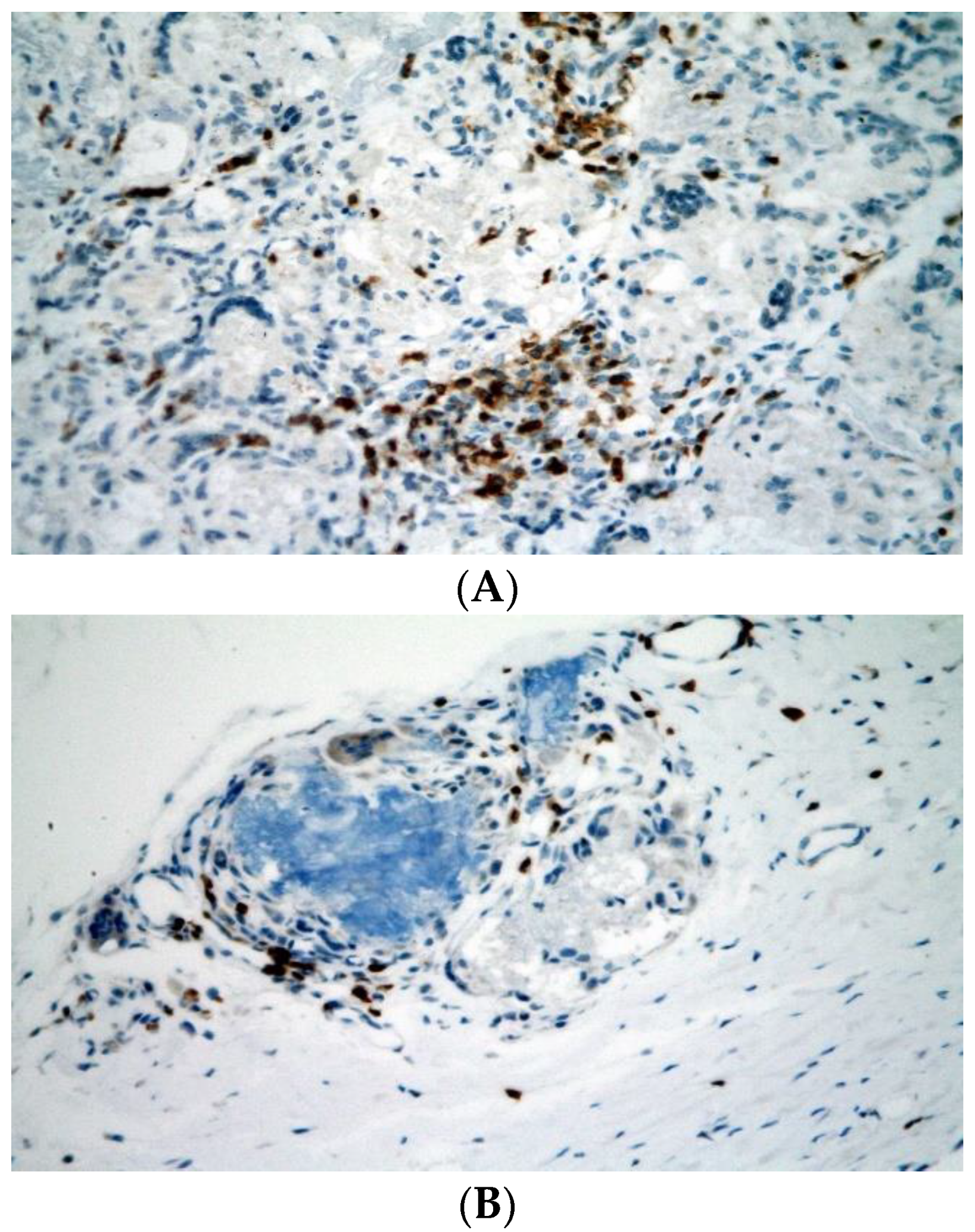 Biomedicines 10 02918 g004 Biomedicines 10 02918 g004