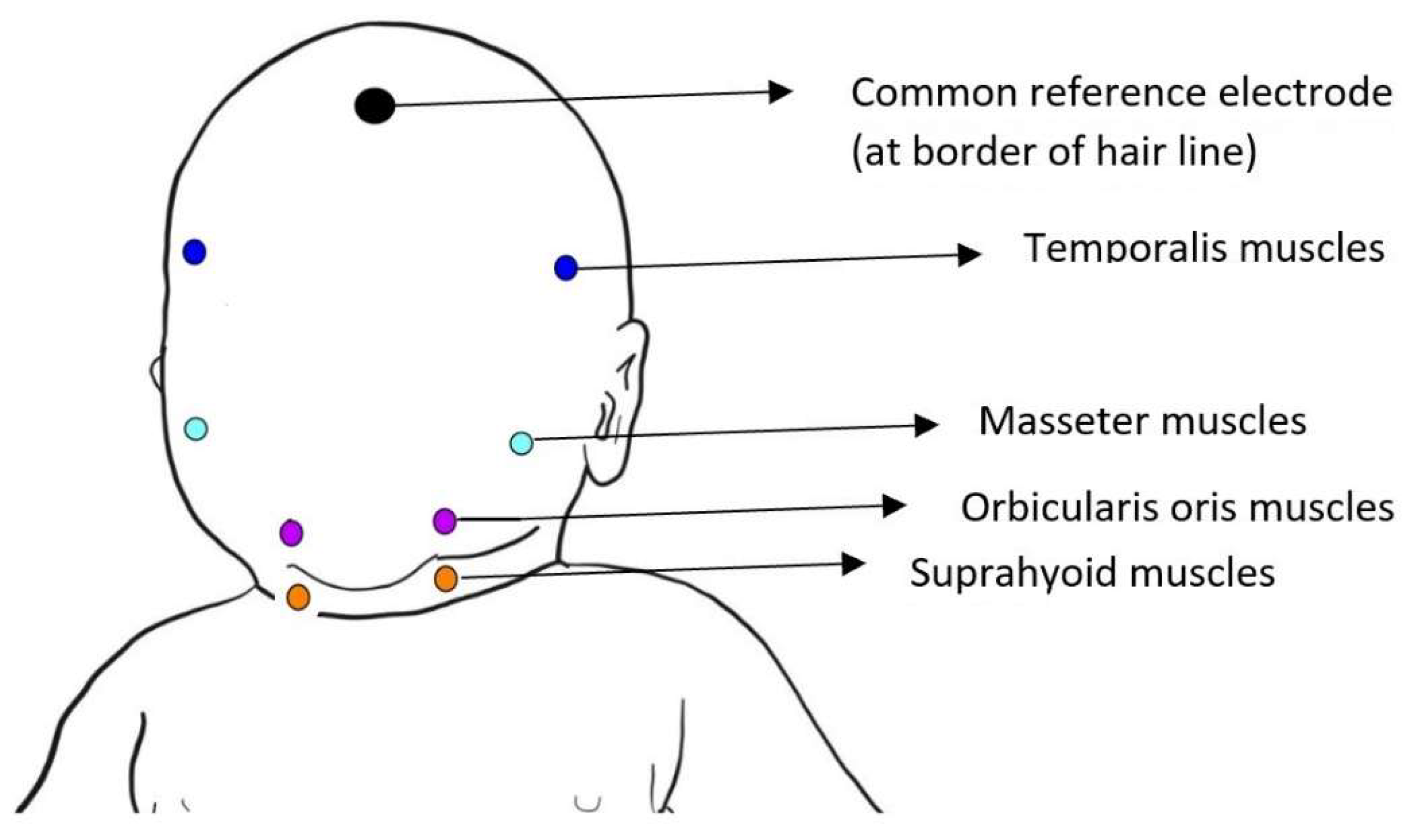 Biomedicines 10 02921 g001 Biomedicines 10 02921 g001