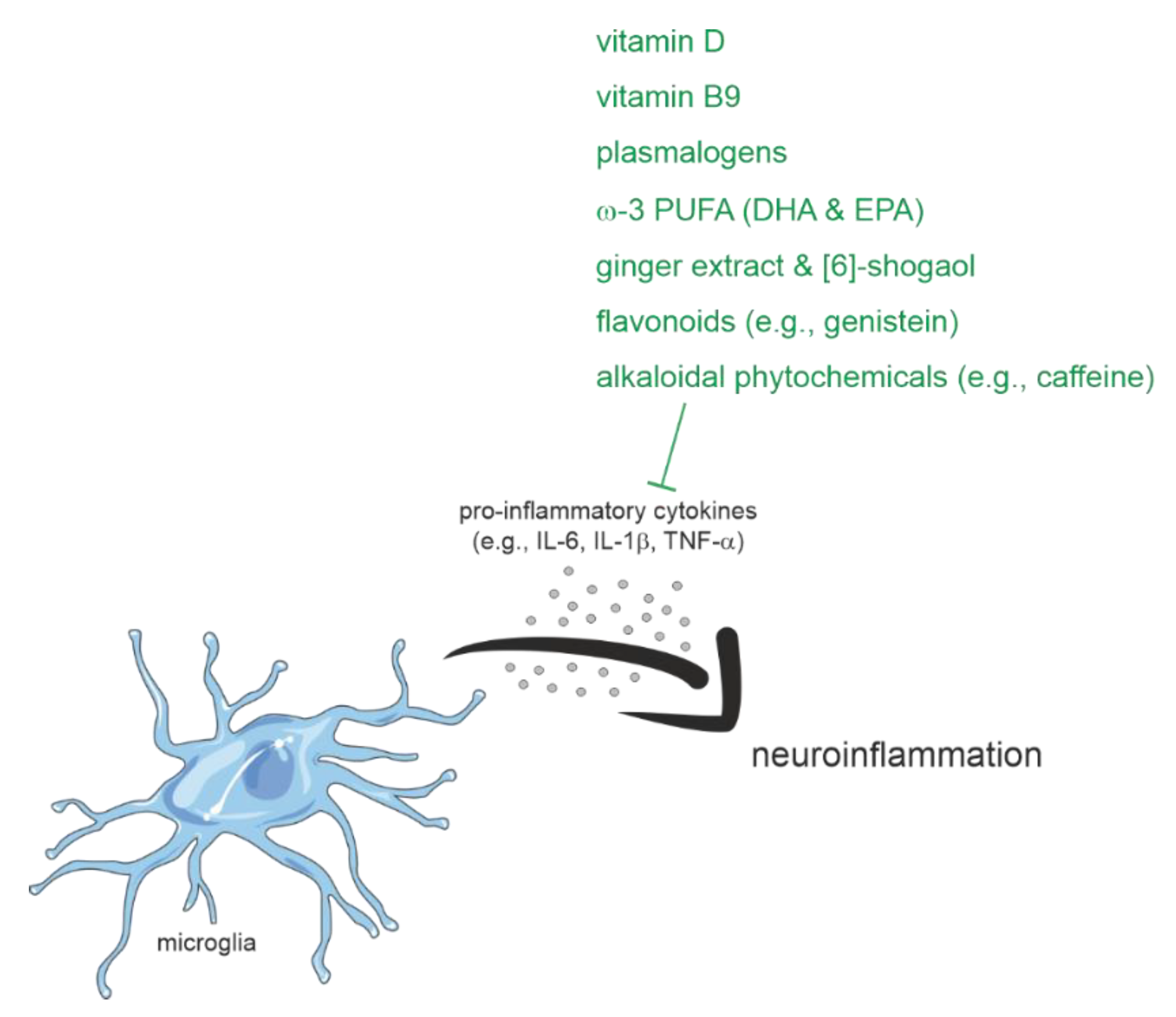 Biomedicines 10 02922 g004 Biomedicines 10 02922 g004