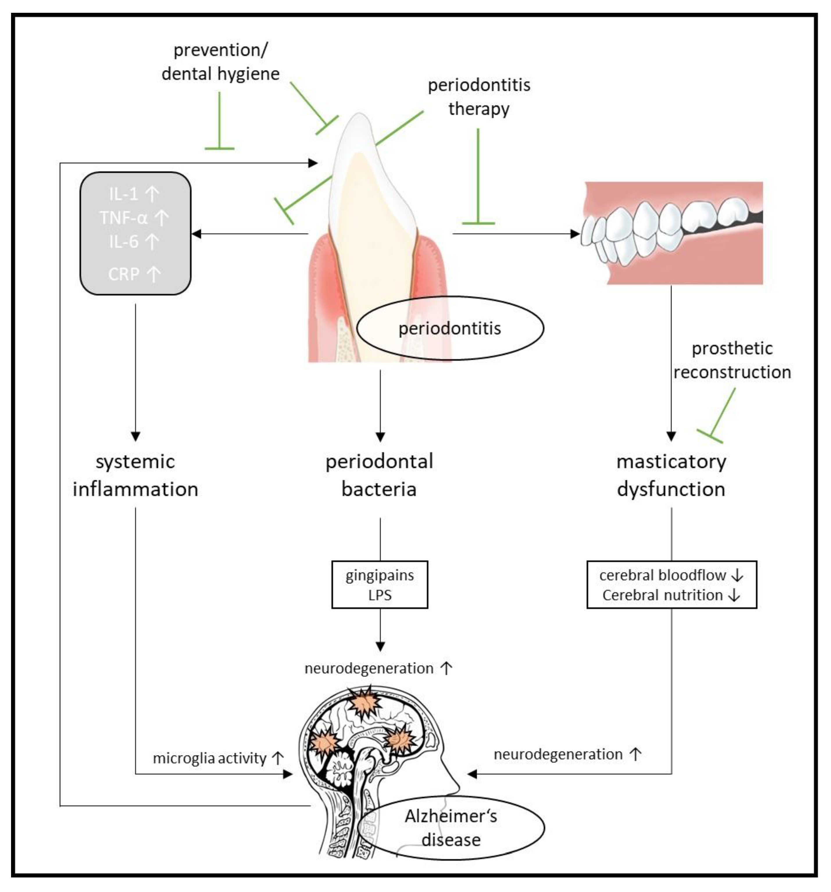Biomedicines 10 02922 g005 Biomedicines 10 02922 g005