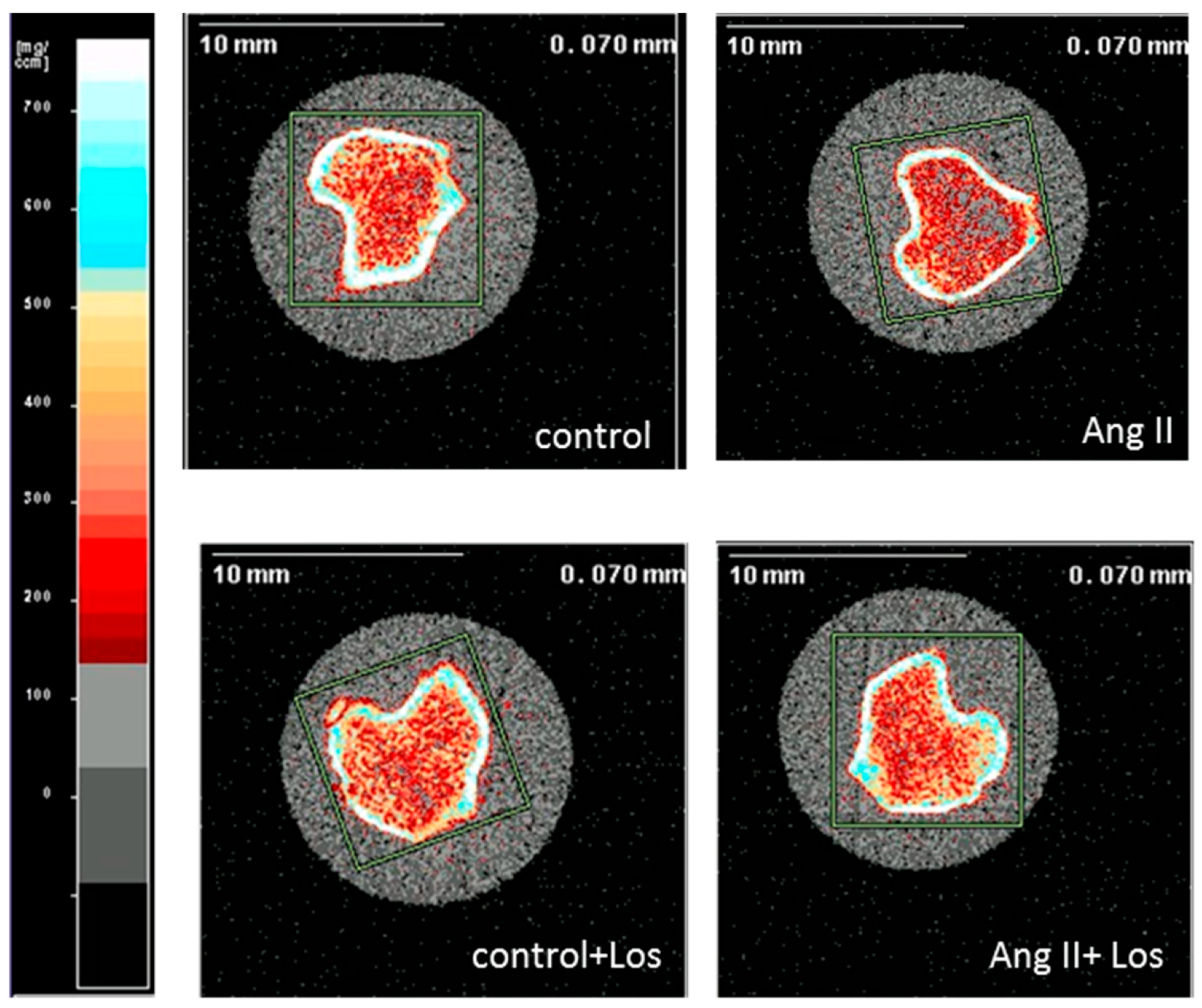 Biomedicines 10 02928 g003 Biomedicines 10 02928 g003