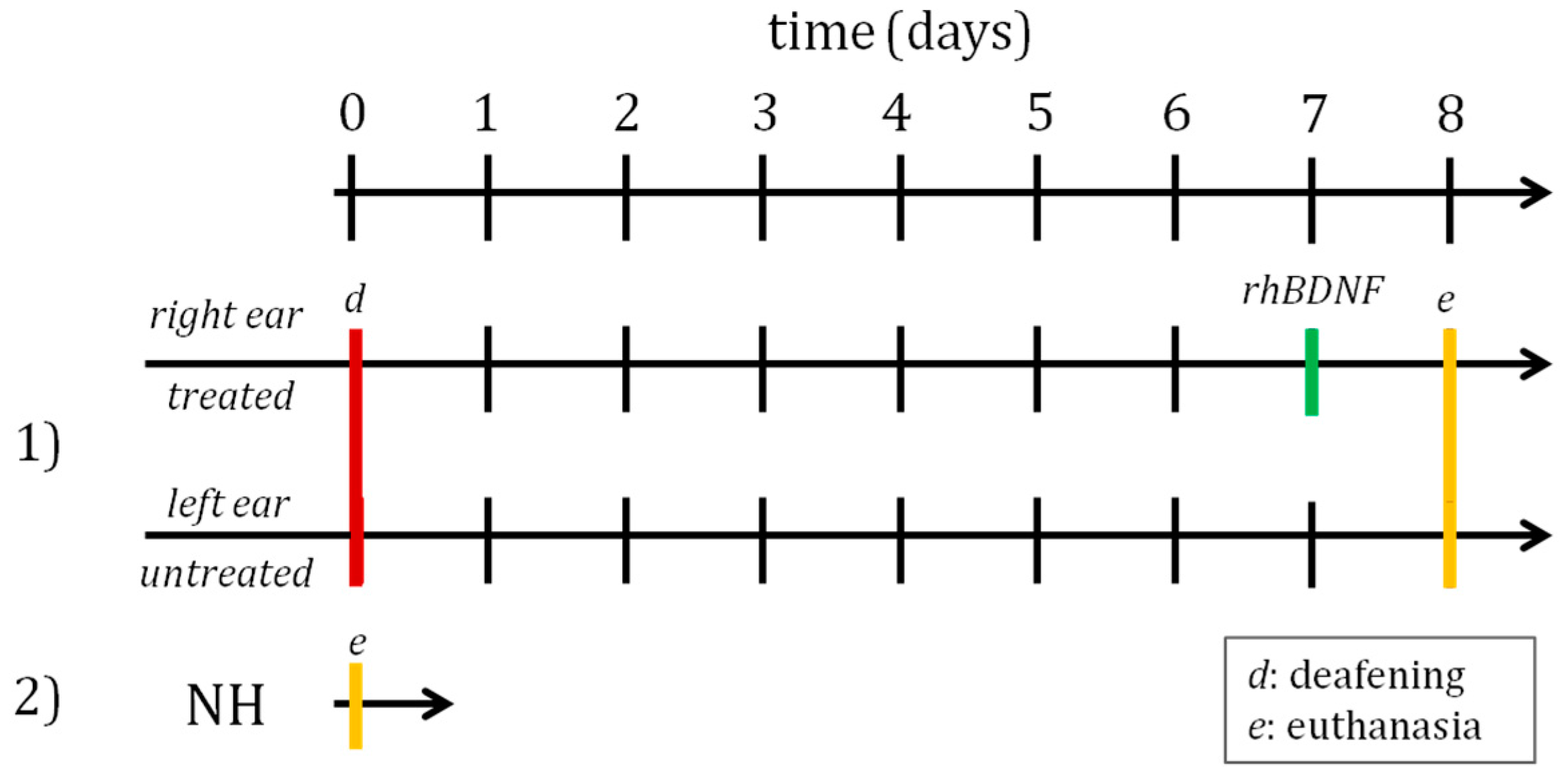 Biomedicines 10 02935 g002 Biomedicines 10 02935 g002