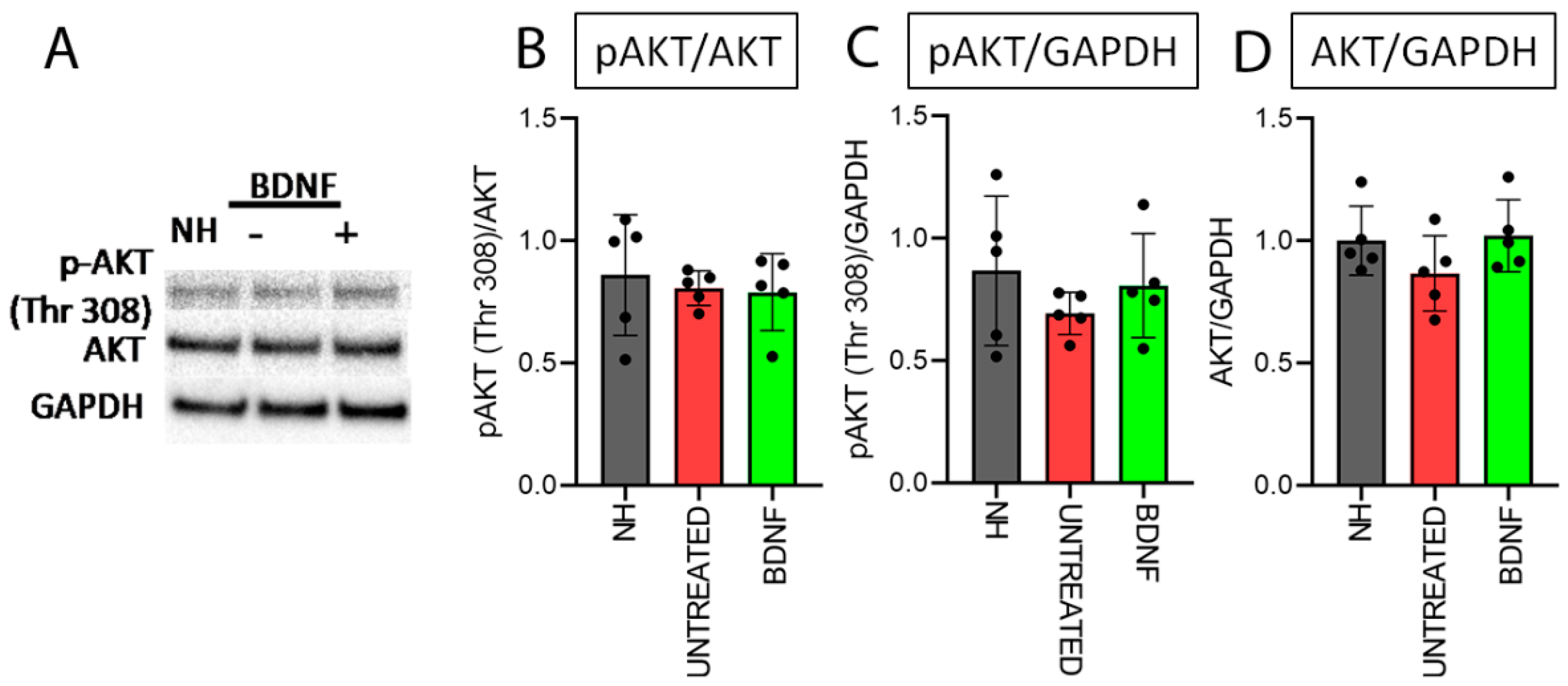 Biomedicines 10 02935 g007 Biomedicines 10 02935 g007