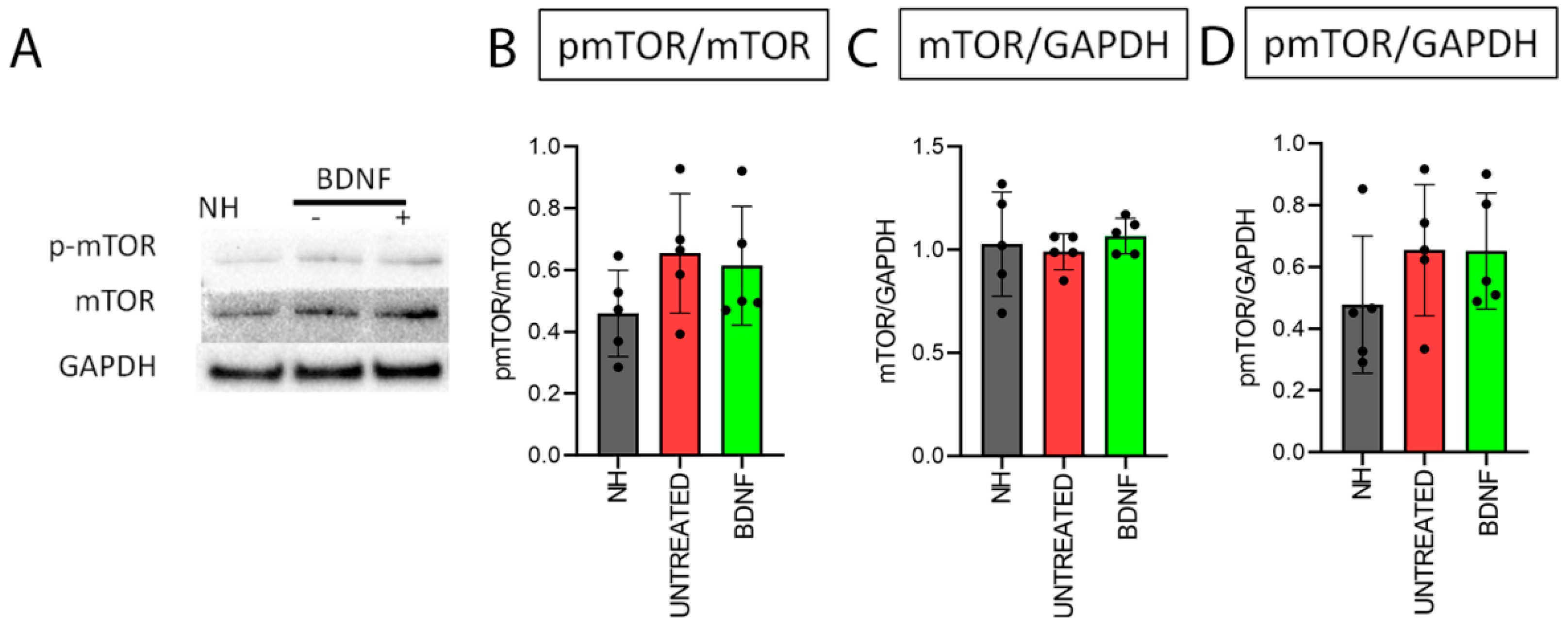 Biomedicines 10 02935 g011 Biomedicines 10 02935 g011