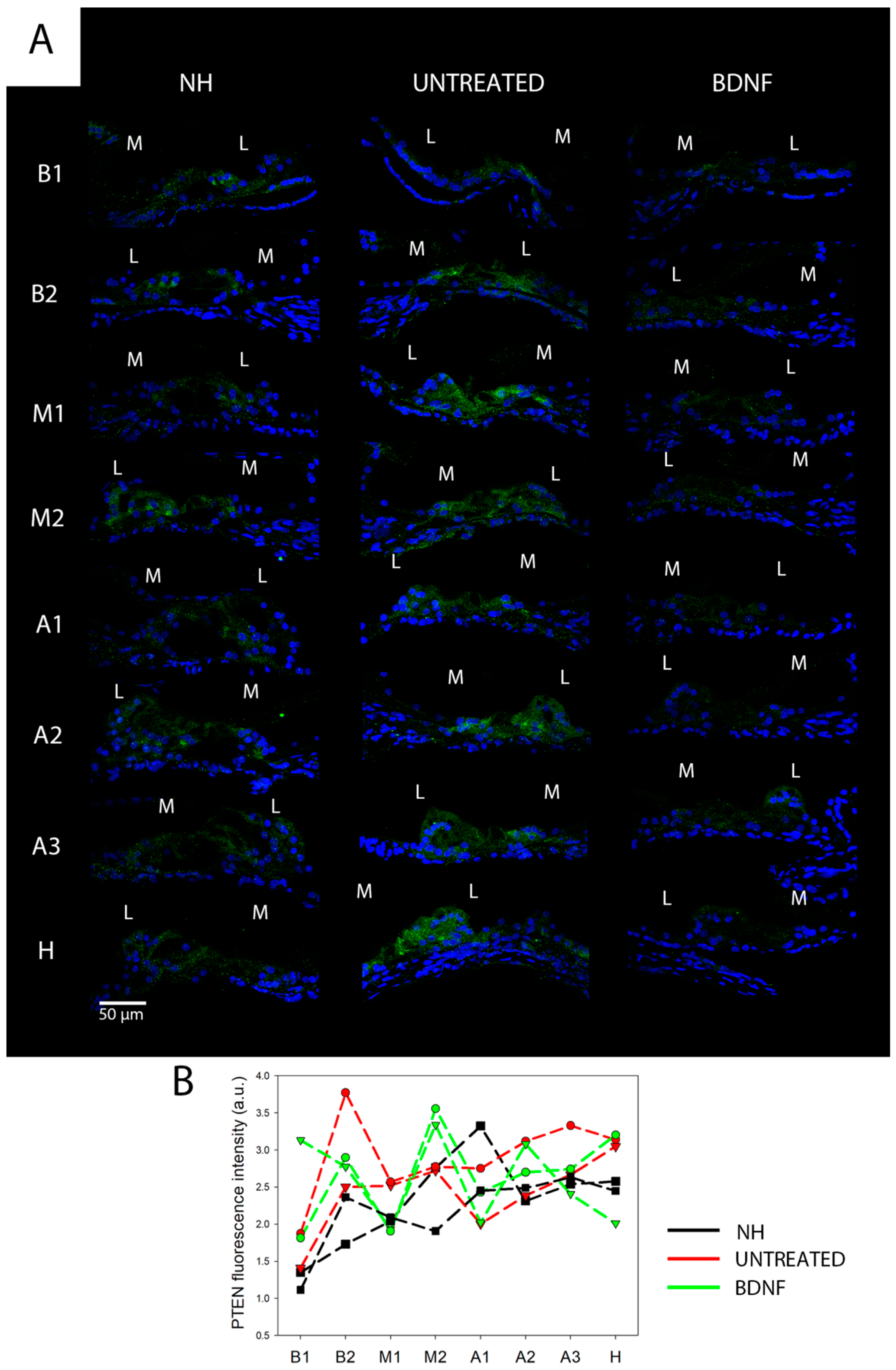 Biomedicines 10 02935 g012 Biomedicines 10 02935 g012