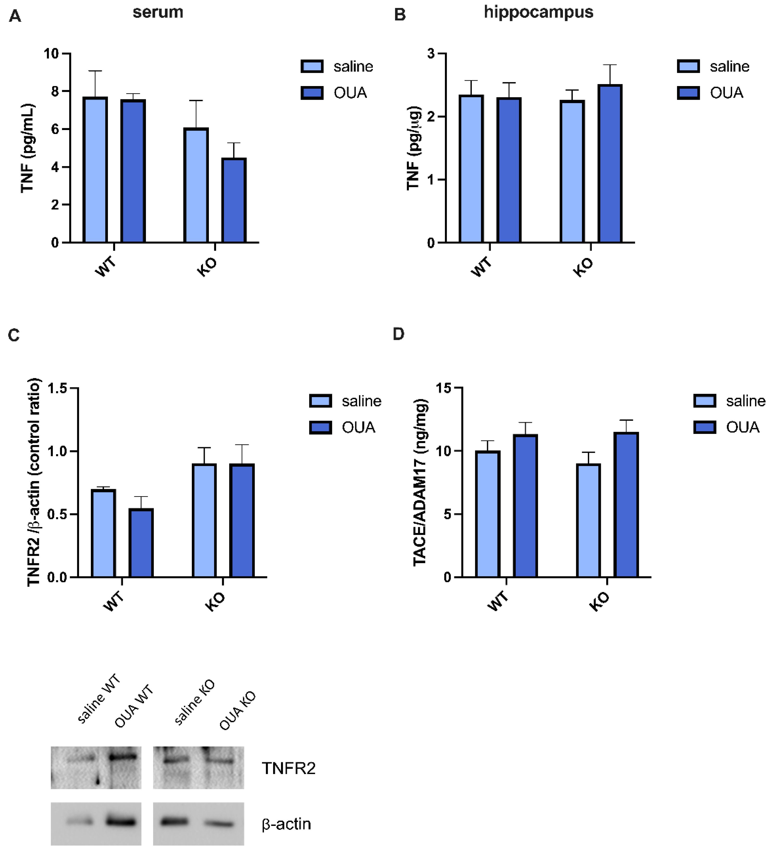 Biomedicines 10 02937 g001 Biomedicines 10 02937 g001