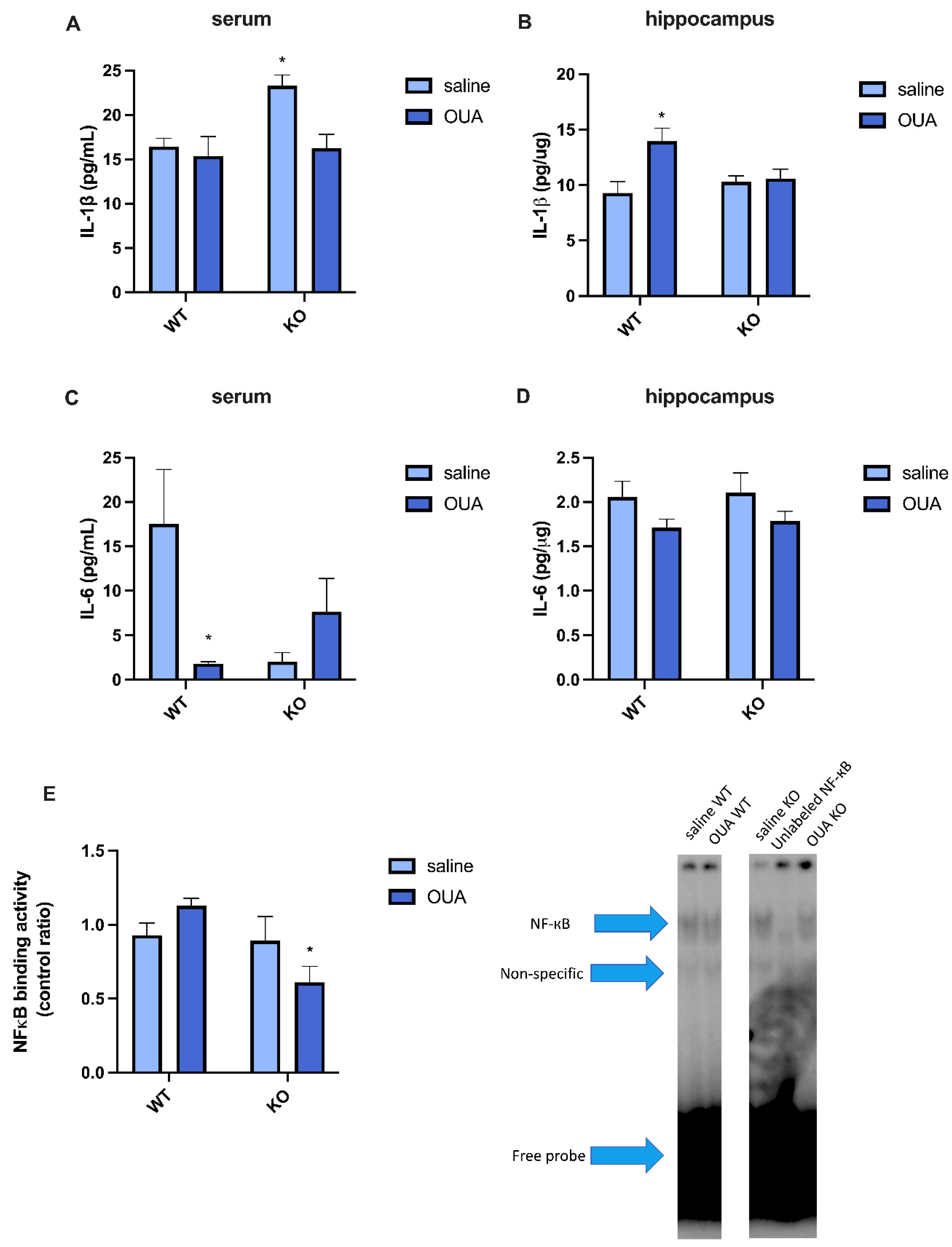 Biomedicines 10 02937 g002 Biomedicines 10 02937 g002