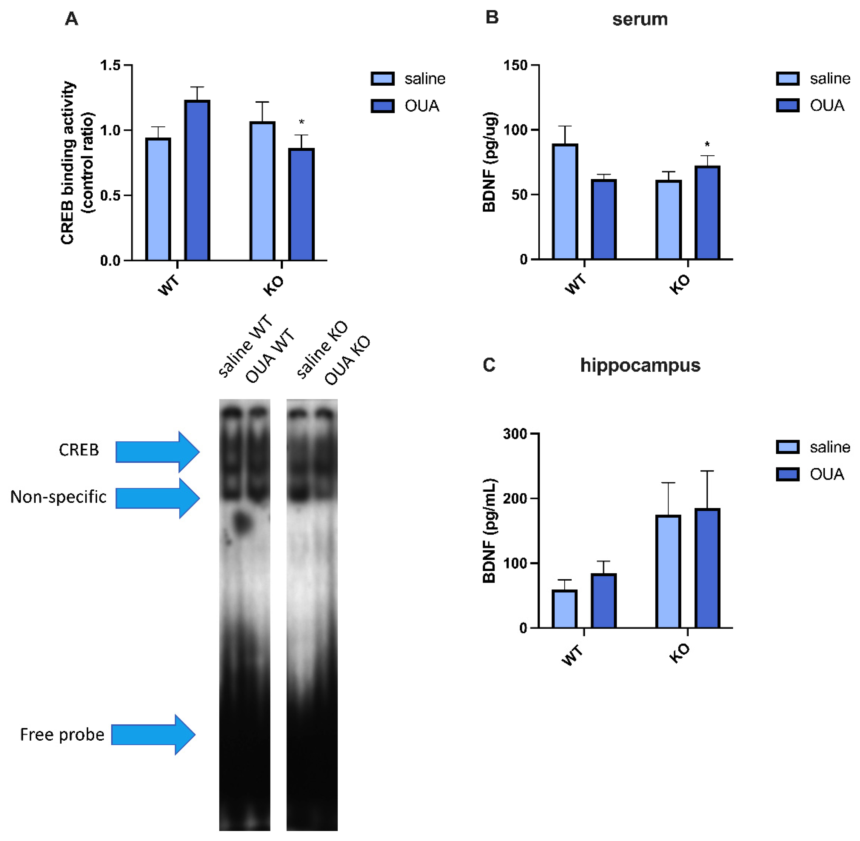 Biomedicines 10 02937 g003 Biomedicines 10 02937 g003