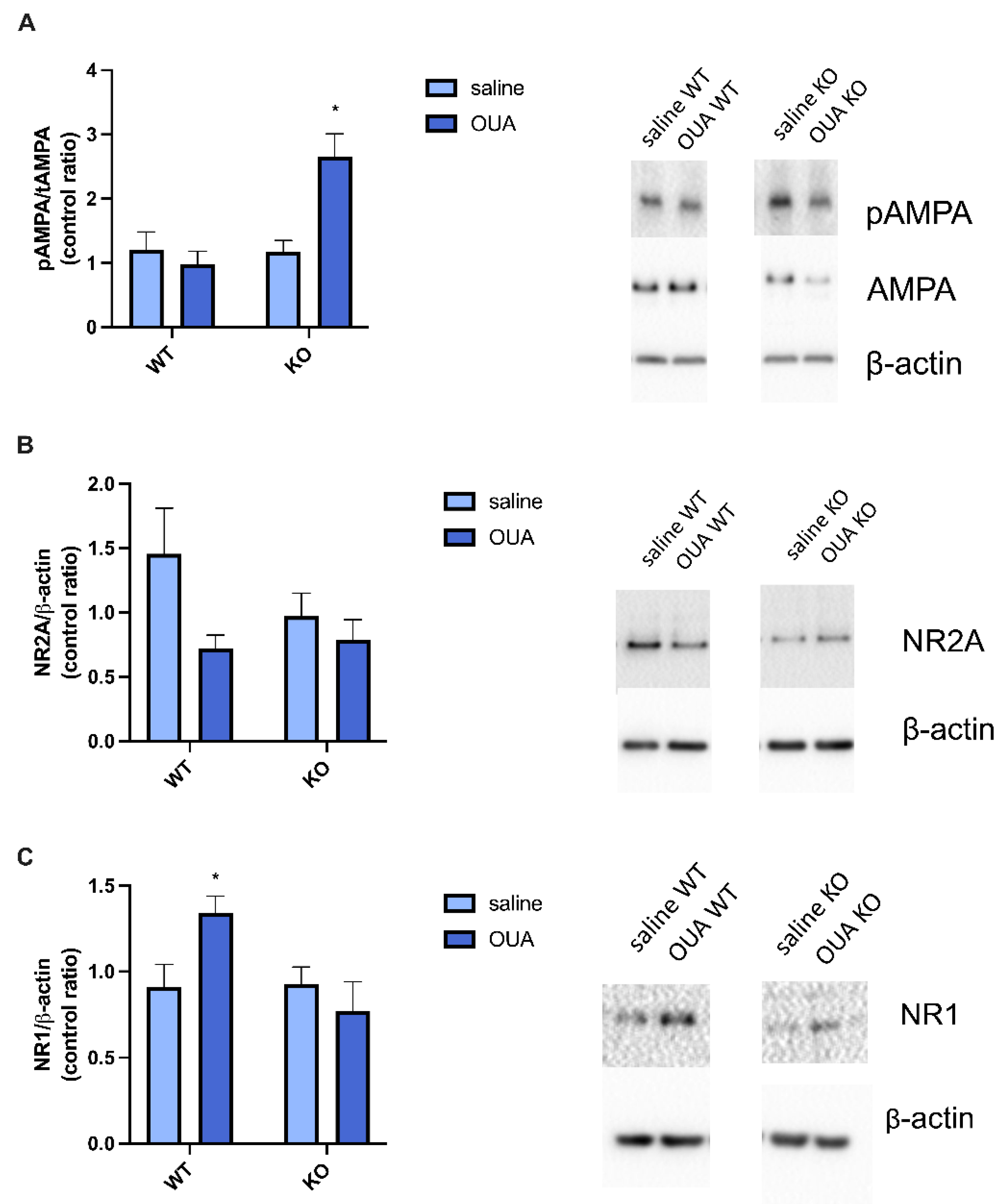 Biomedicines 10 02937 g004 Biomedicines 10 02937 g004