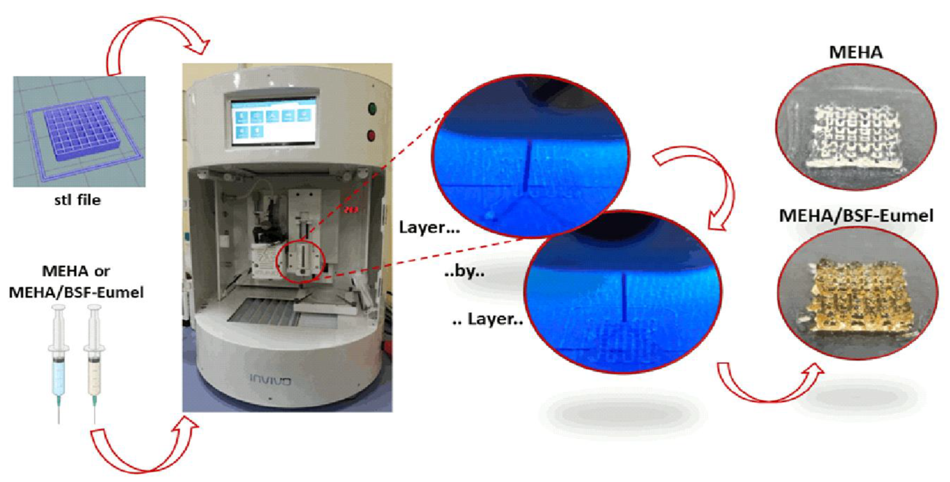 Biomedicines 10 02945 g002 Biomedicines 10 02945 g002
