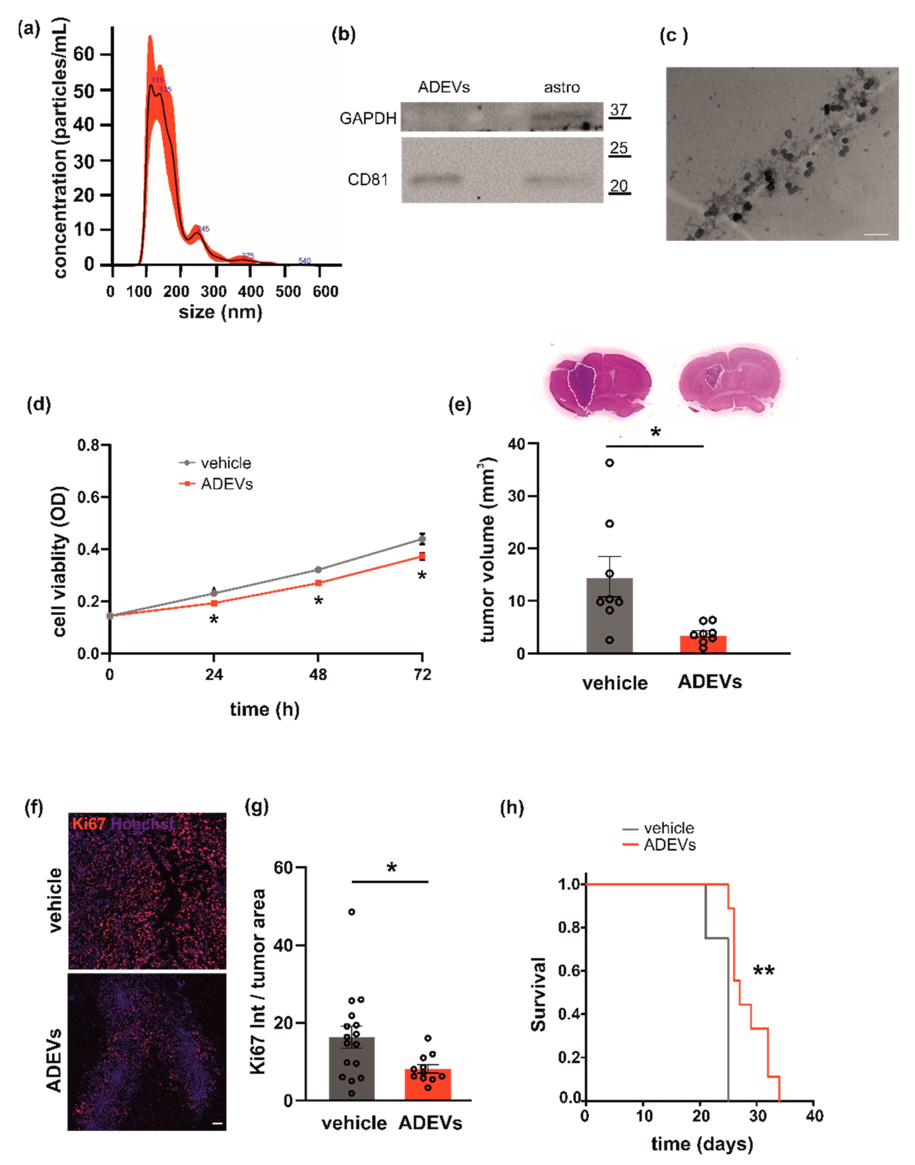 Biomedicines 10 02952 g001