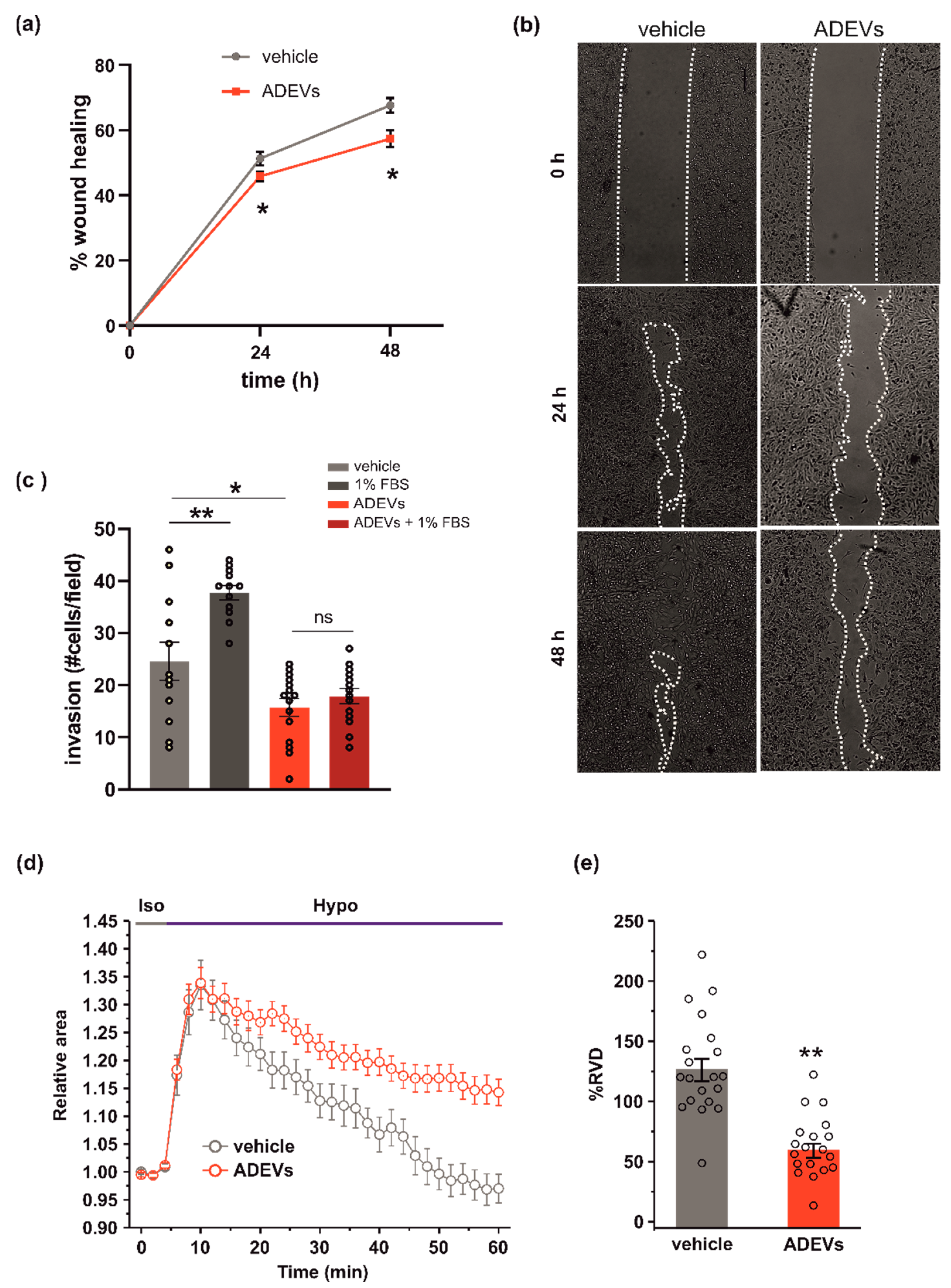 Biomedicines 10 02952 g002