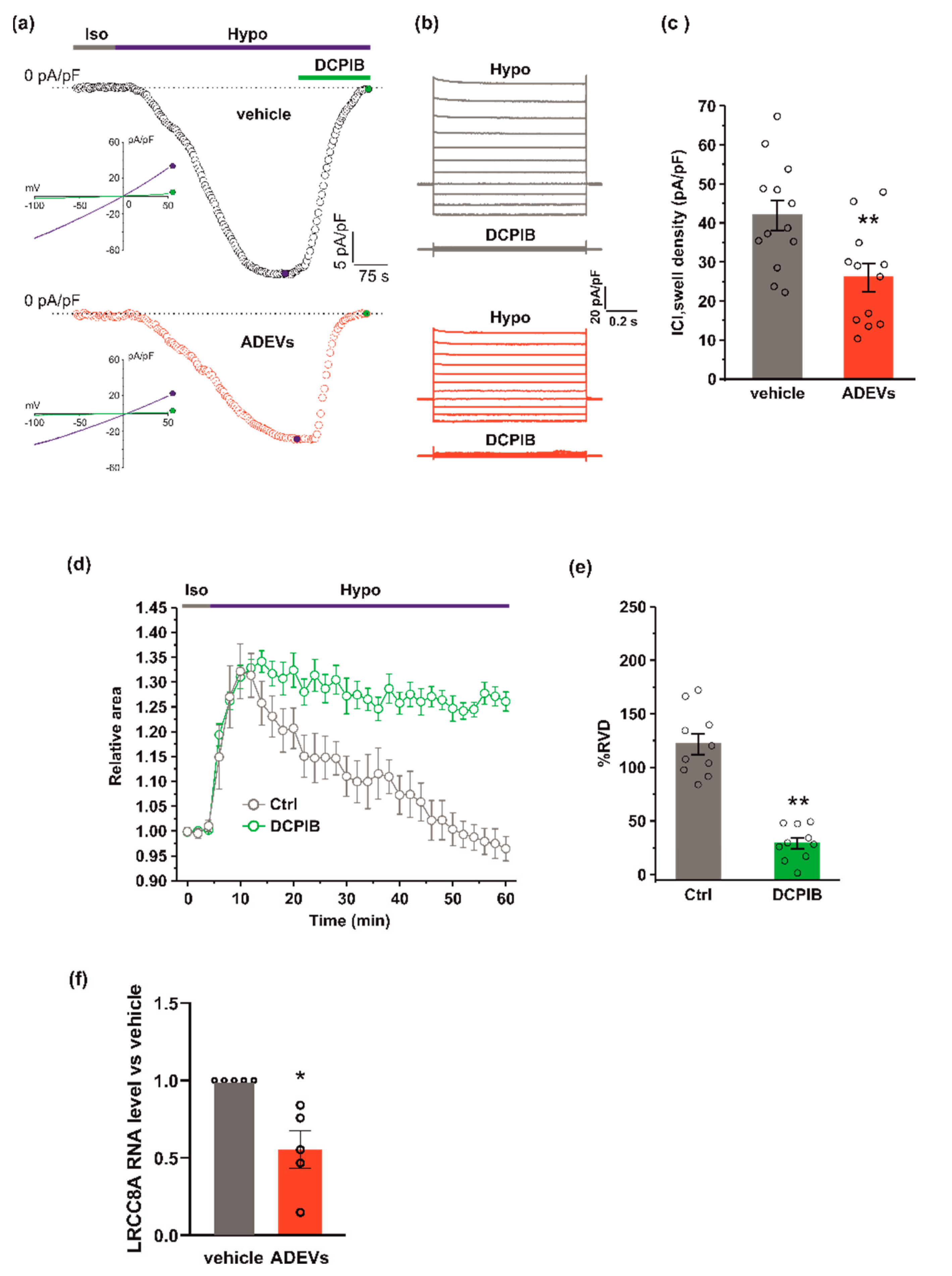 Biomedicines 10 02952 g003