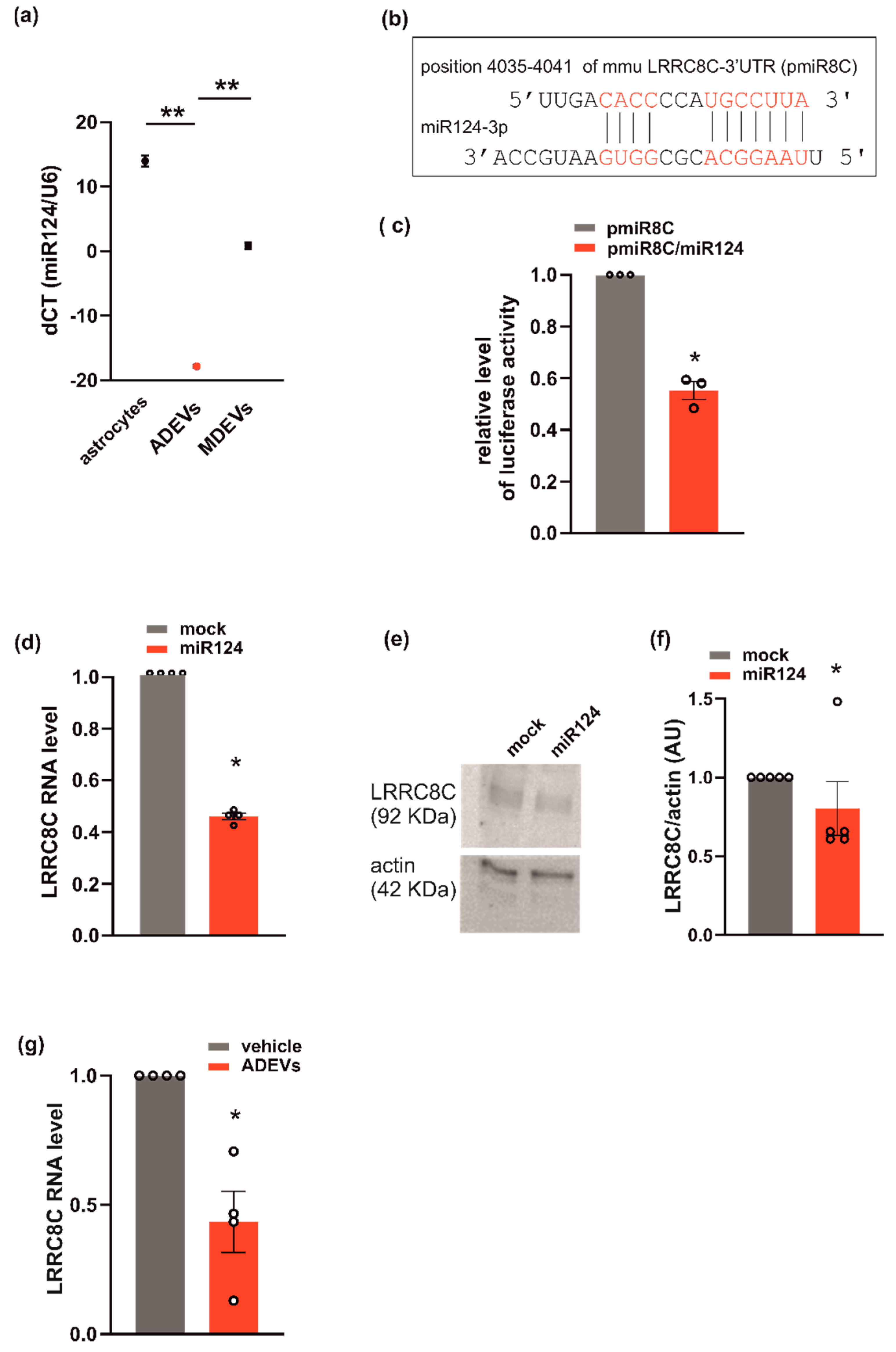 Biomedicines 10 02952 g004