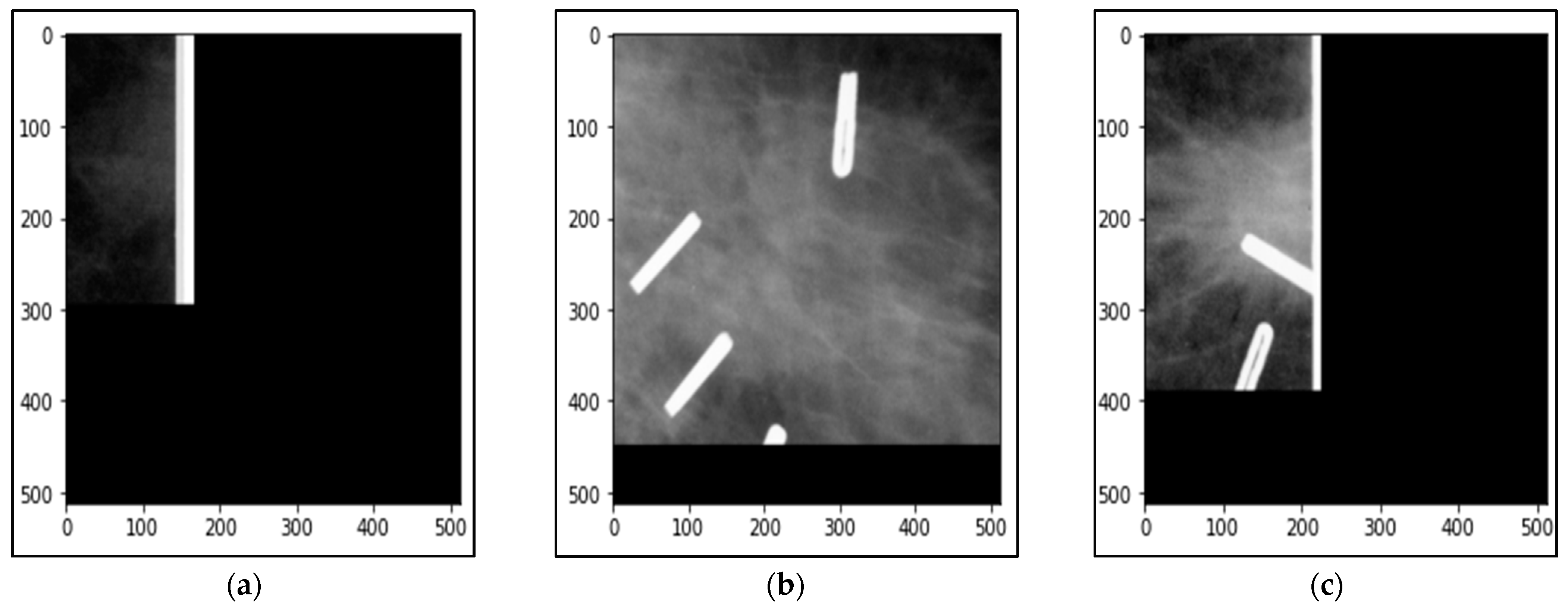 Biomedicines 10 02971 g004