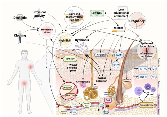 Biomedicines 10 02973 g001