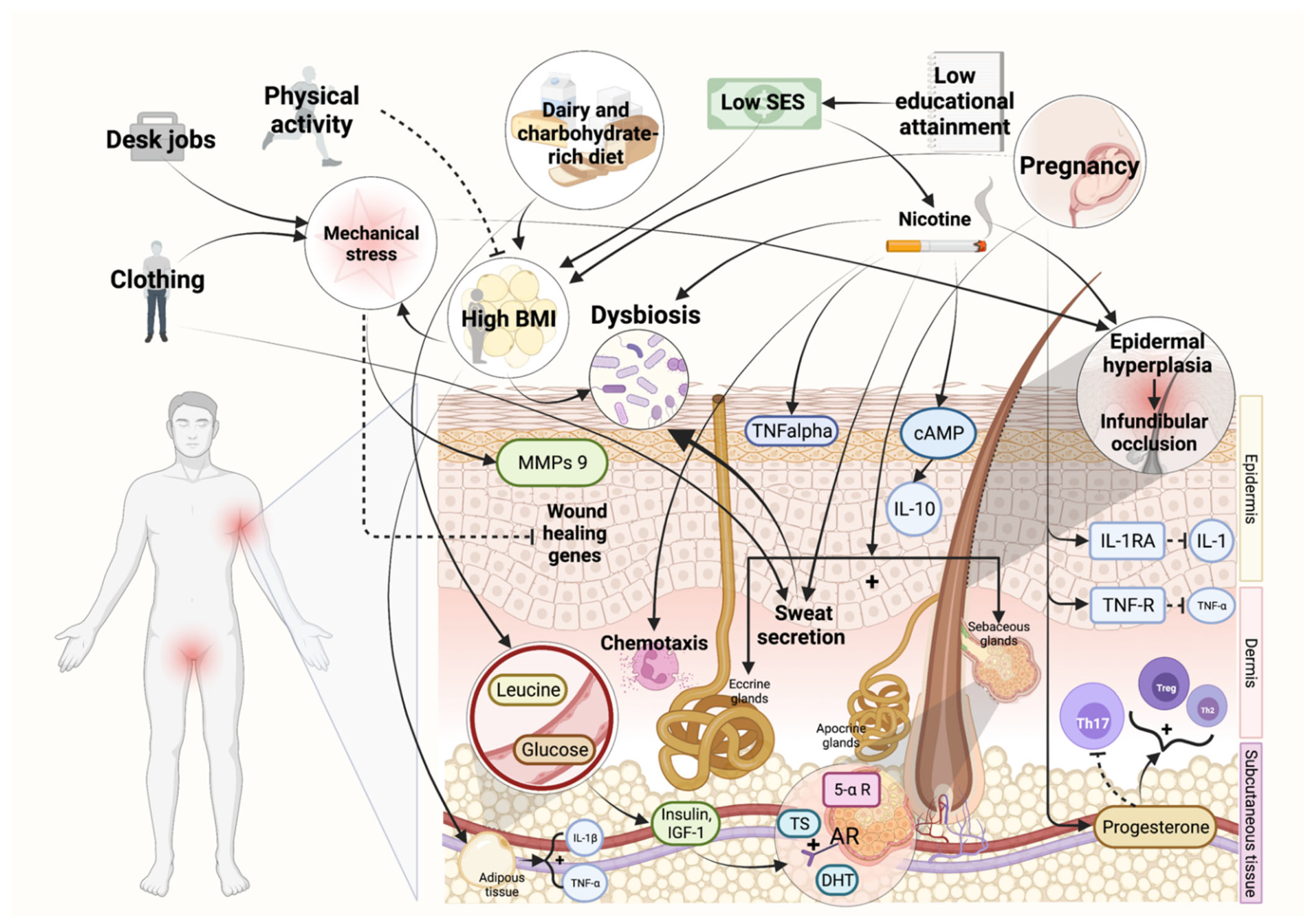 Biomedicines 10 02973 g001 Biomedicines 10 02973 g001