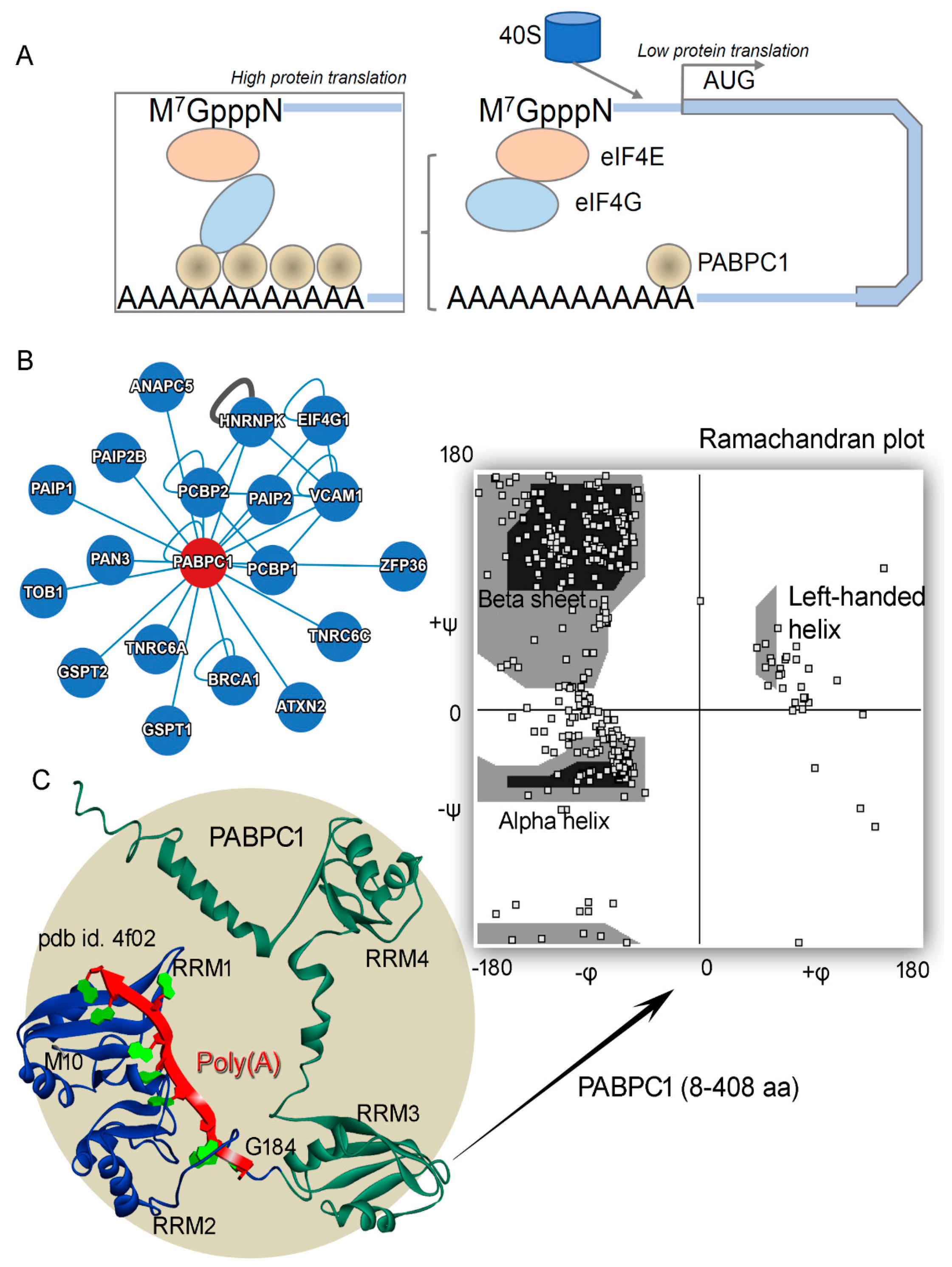 Biomedicines 10 02981 g001