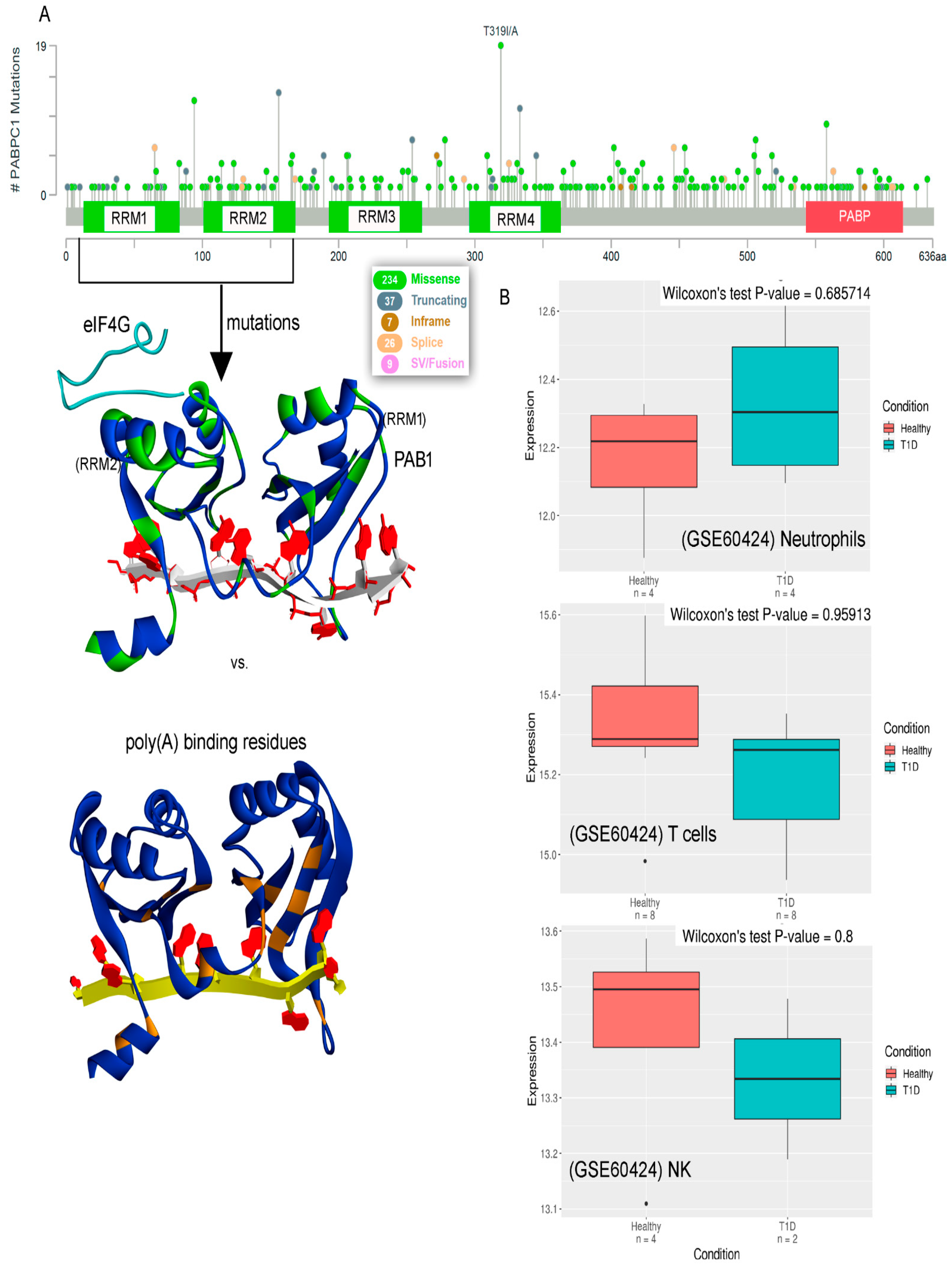 Biomedicines 10 02981 g005