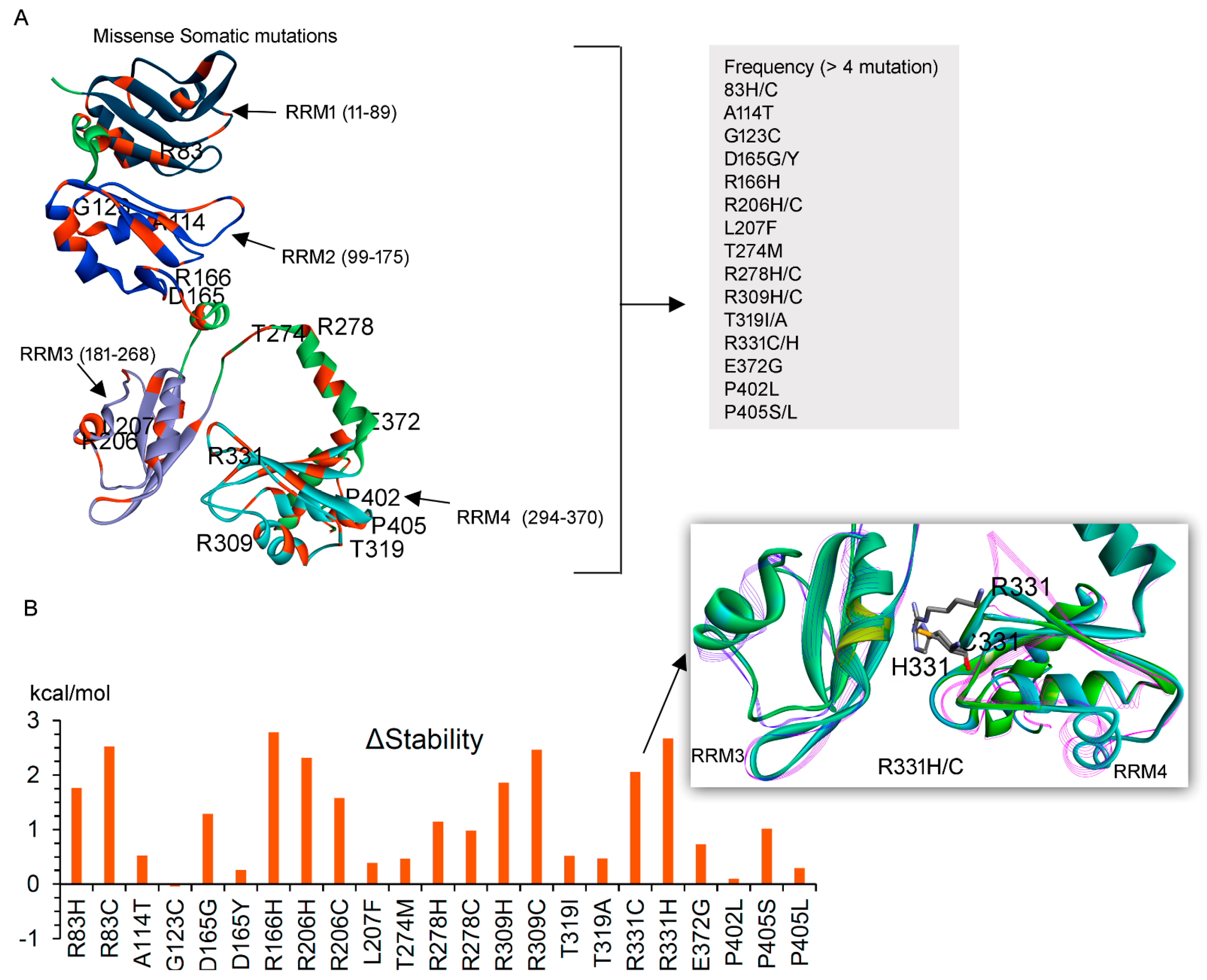 Biomedicines 10 02981 g006