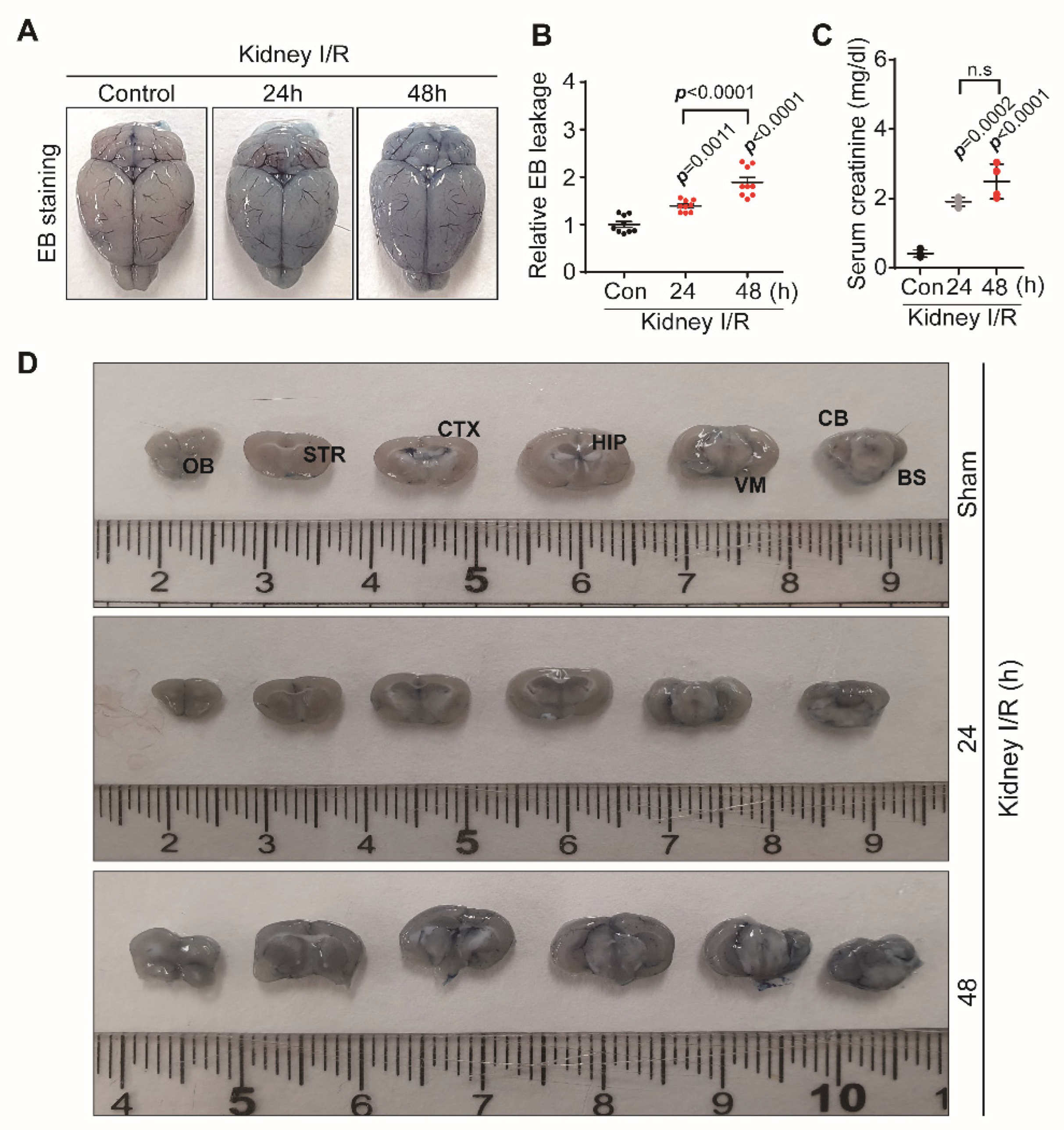 Biomedicines 10 02993 g001 Biomedicines 10 02993 g001