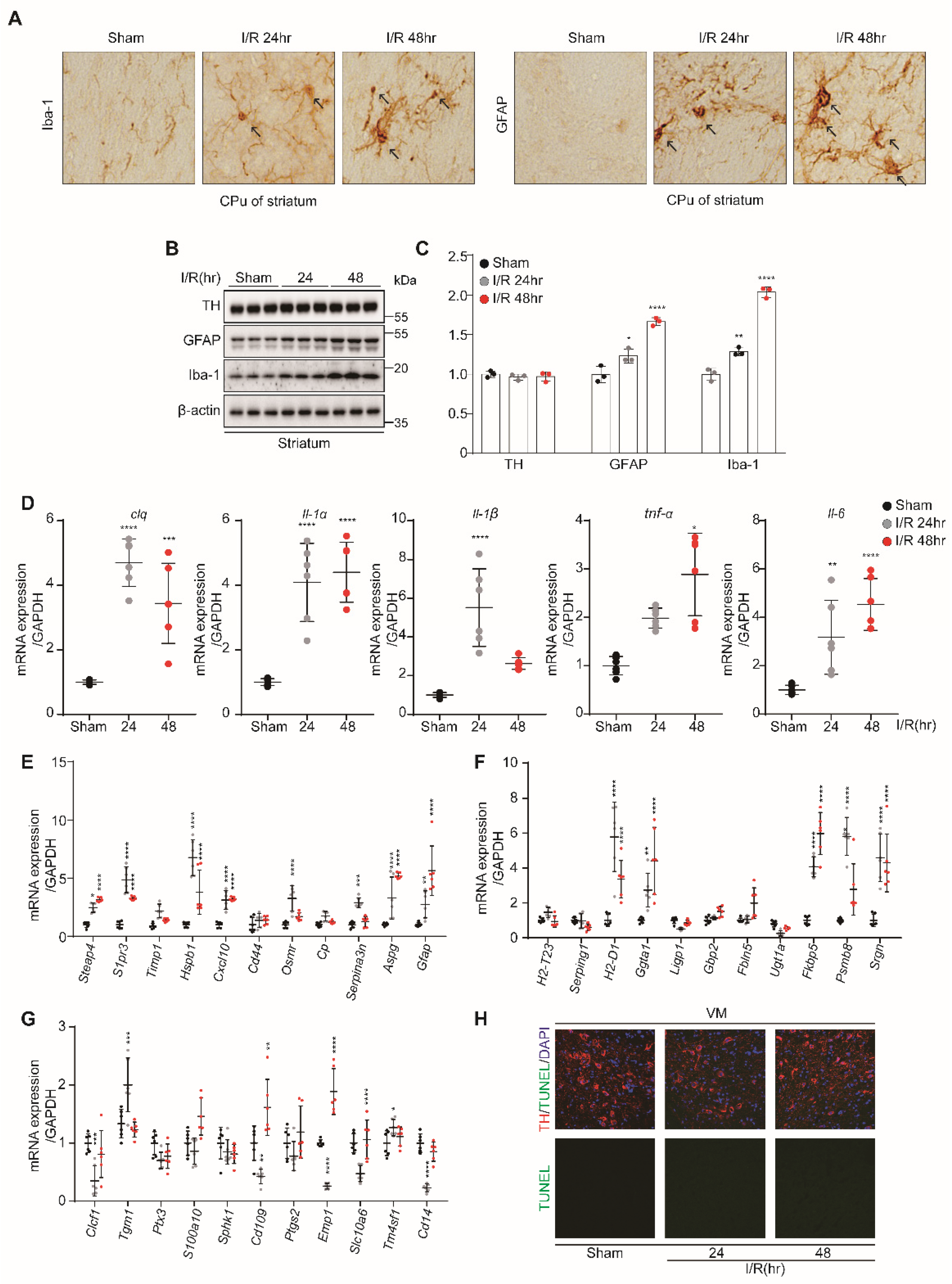 Biomedicines 10 02993 g002 Biomedicines 10 02993 g002