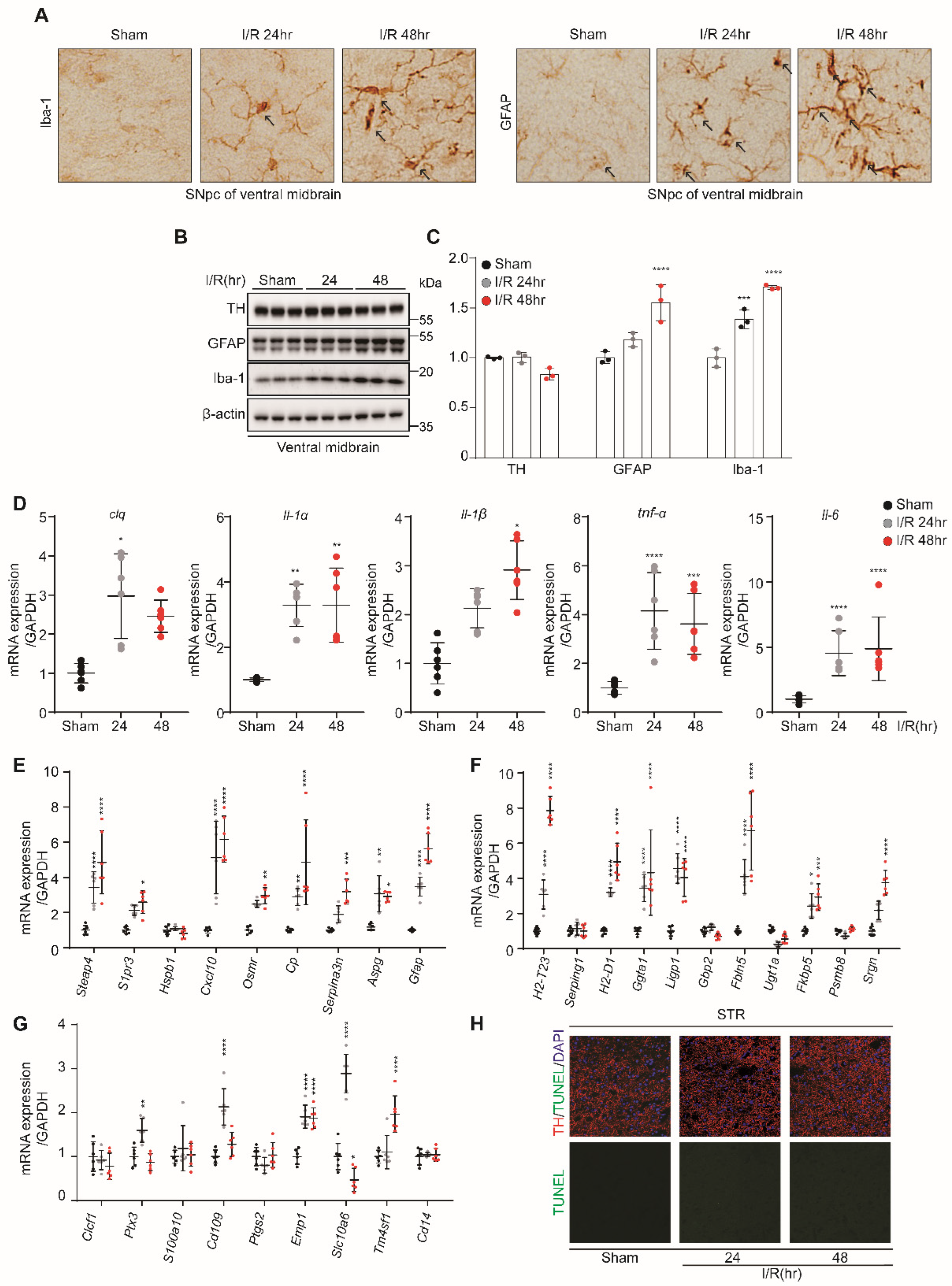 Biomedicines 10 02993 g003 Biomedicines 10 02993 g003