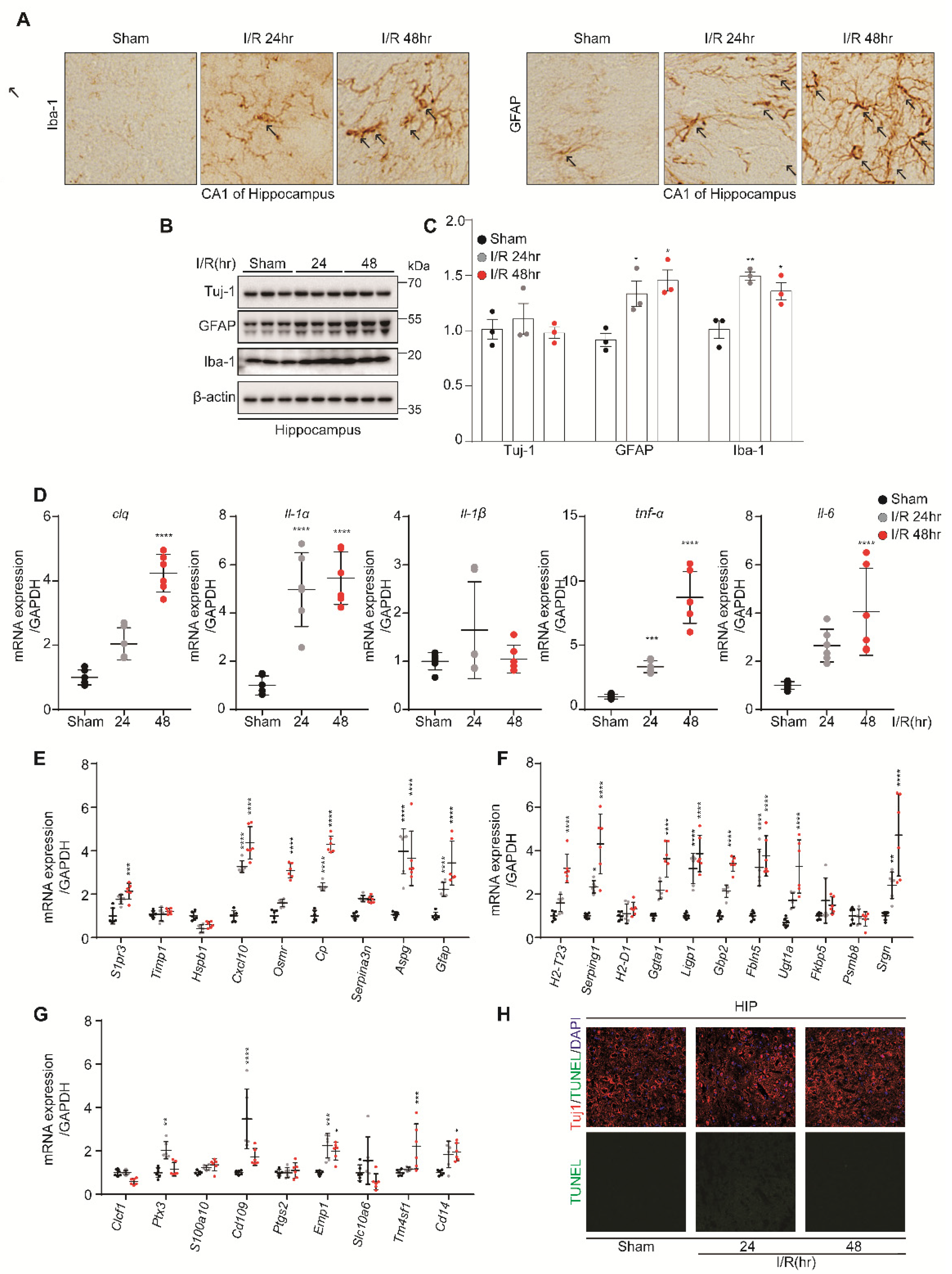 Biomedicines 10 02993 g004 Biomedicines 10 02993 g004