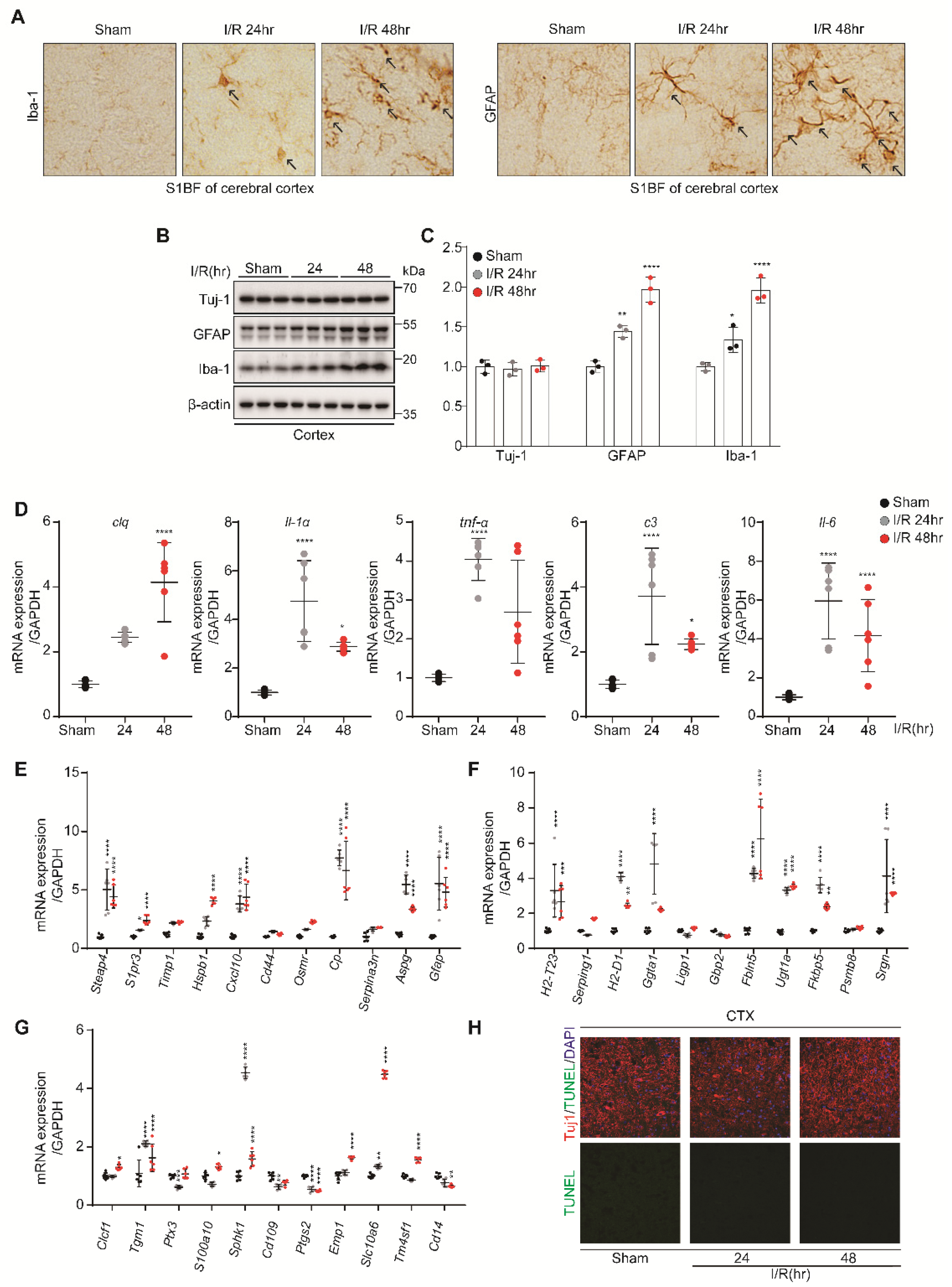 Biomedicines 10 02993 g005 Biomedicines 10 02993 g005