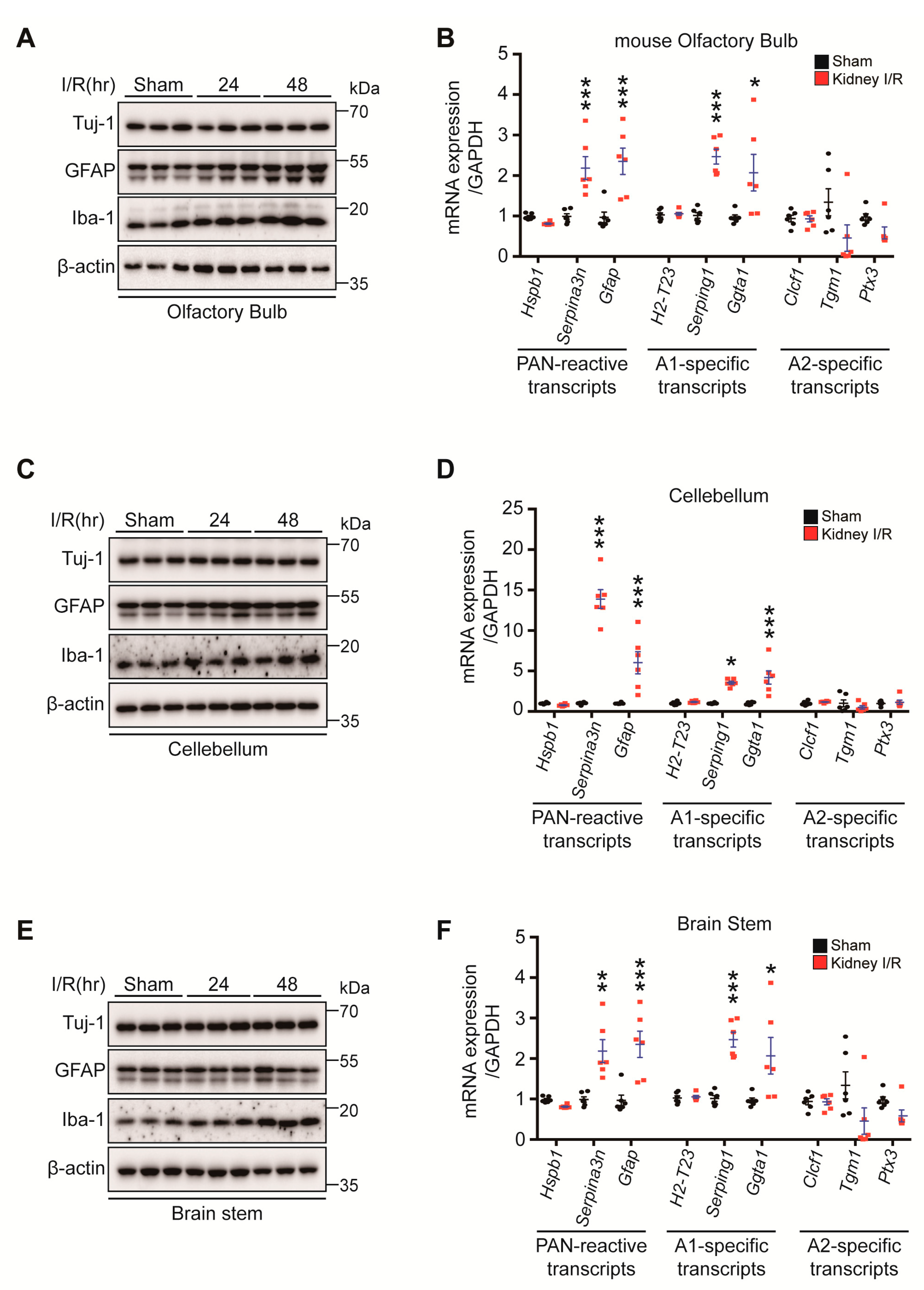 Biomedicines 10 02993 g006 Biomedicines 10 02993 g006
