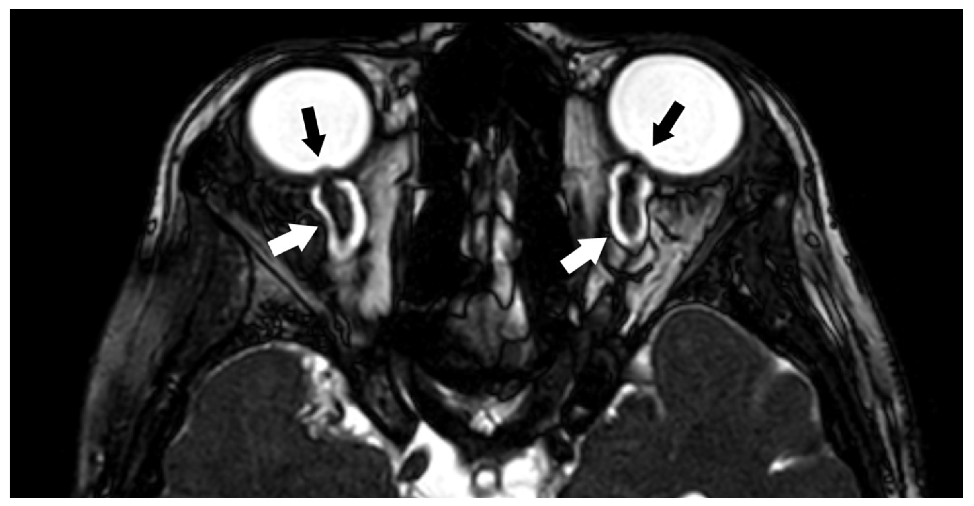 Biomedicines 10 02997 g002