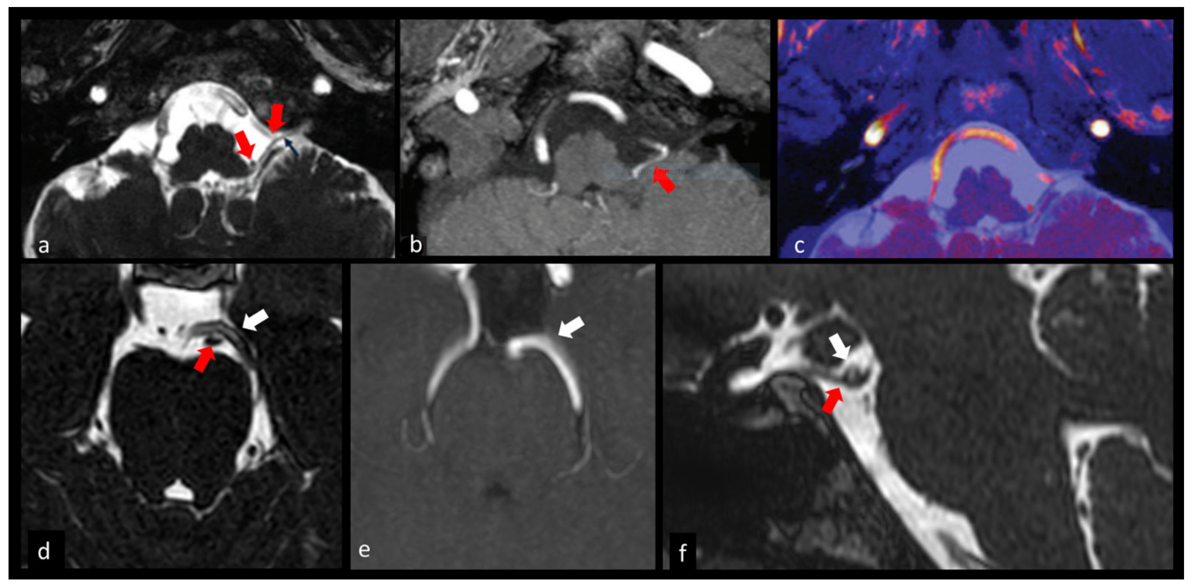 Biomedicines 10 02997 g003
