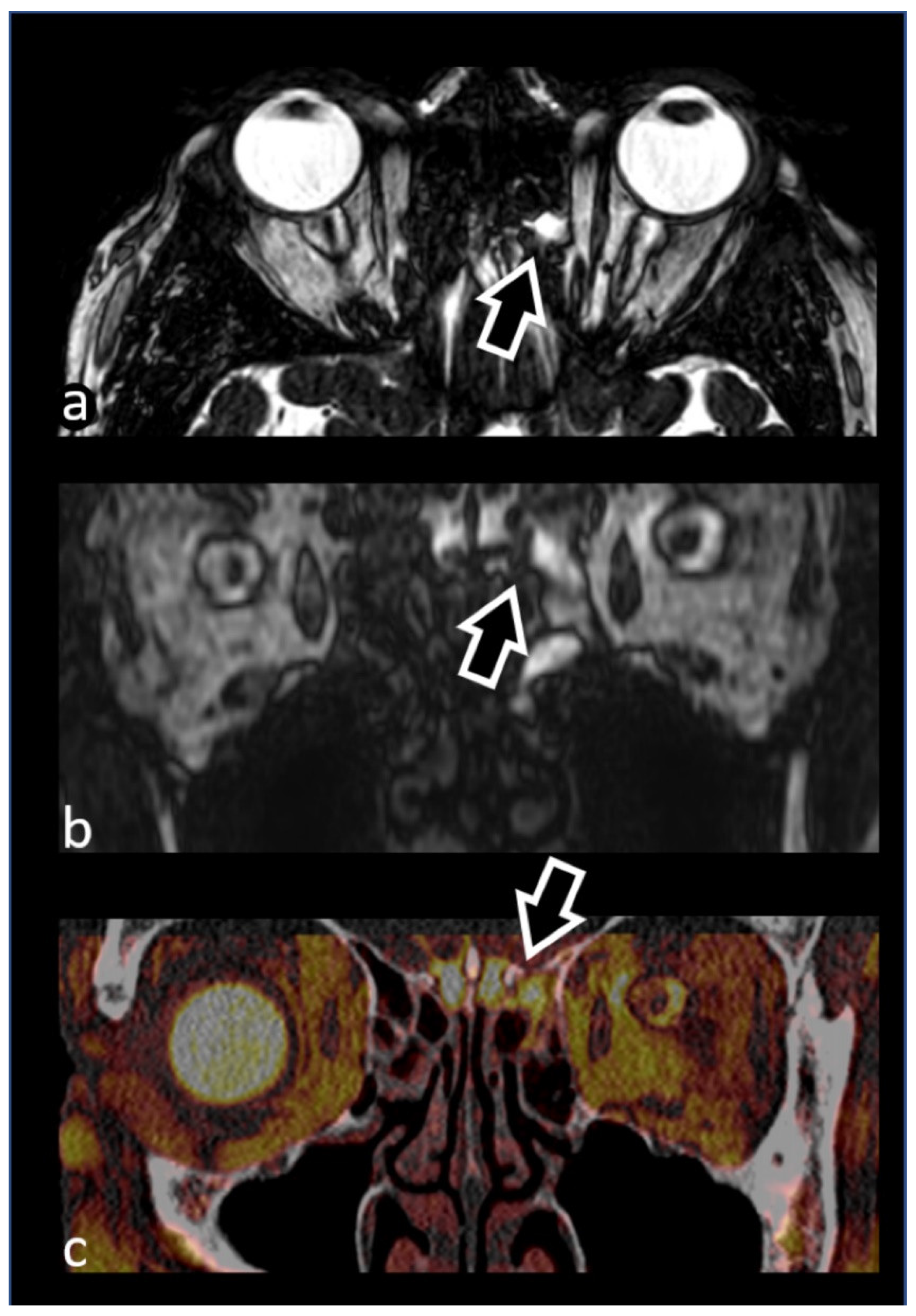Biomedicines 10 02997 g004