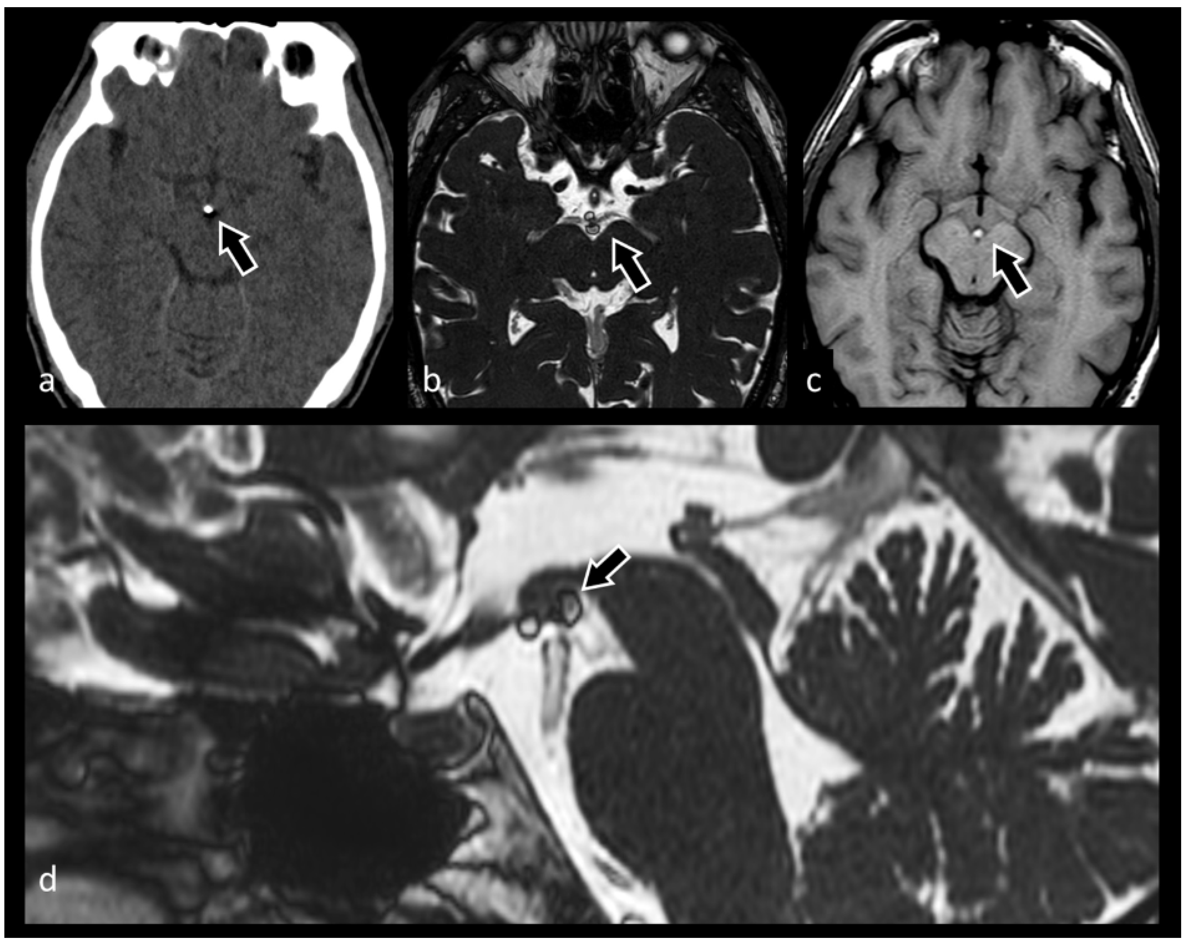 Biomedicines 10 02997 g009