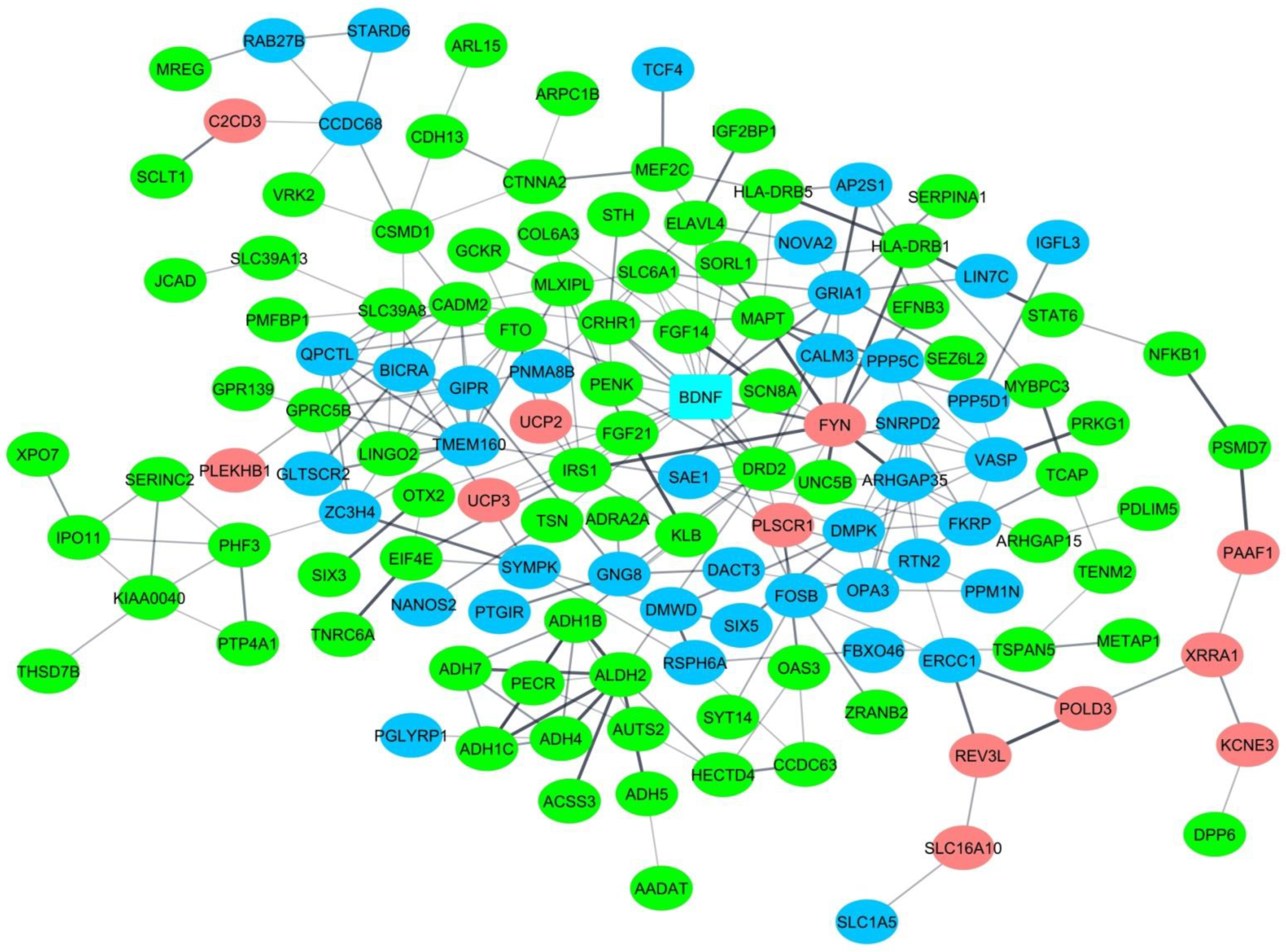 Biomedicines 10 03007 g004