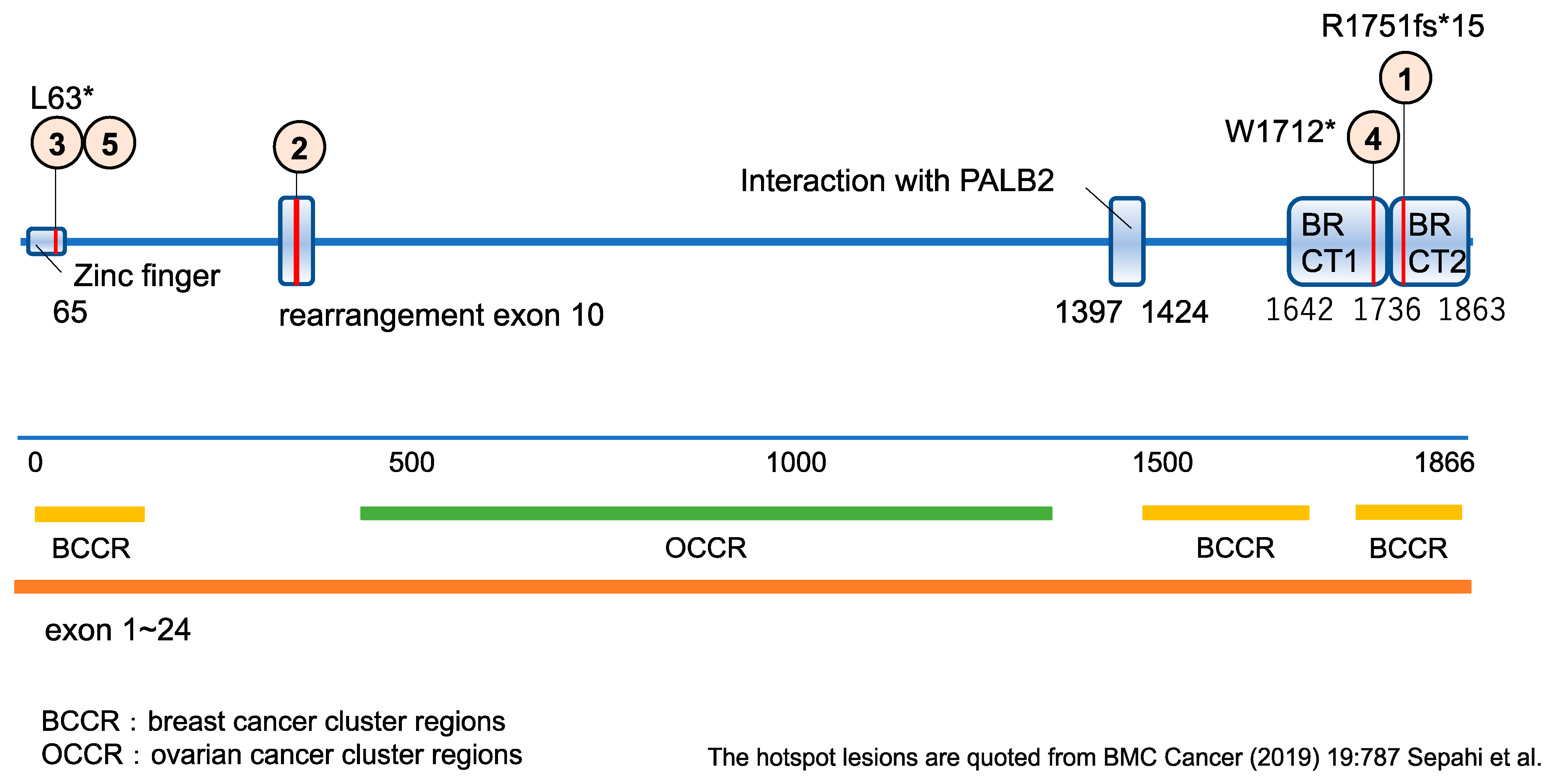 Biomedicines 10 03008 g003